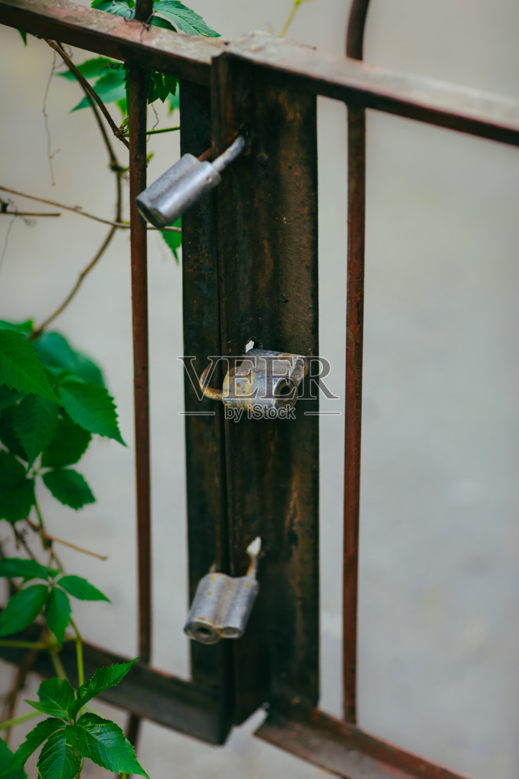 三个挂锁的特写照片摄影图片