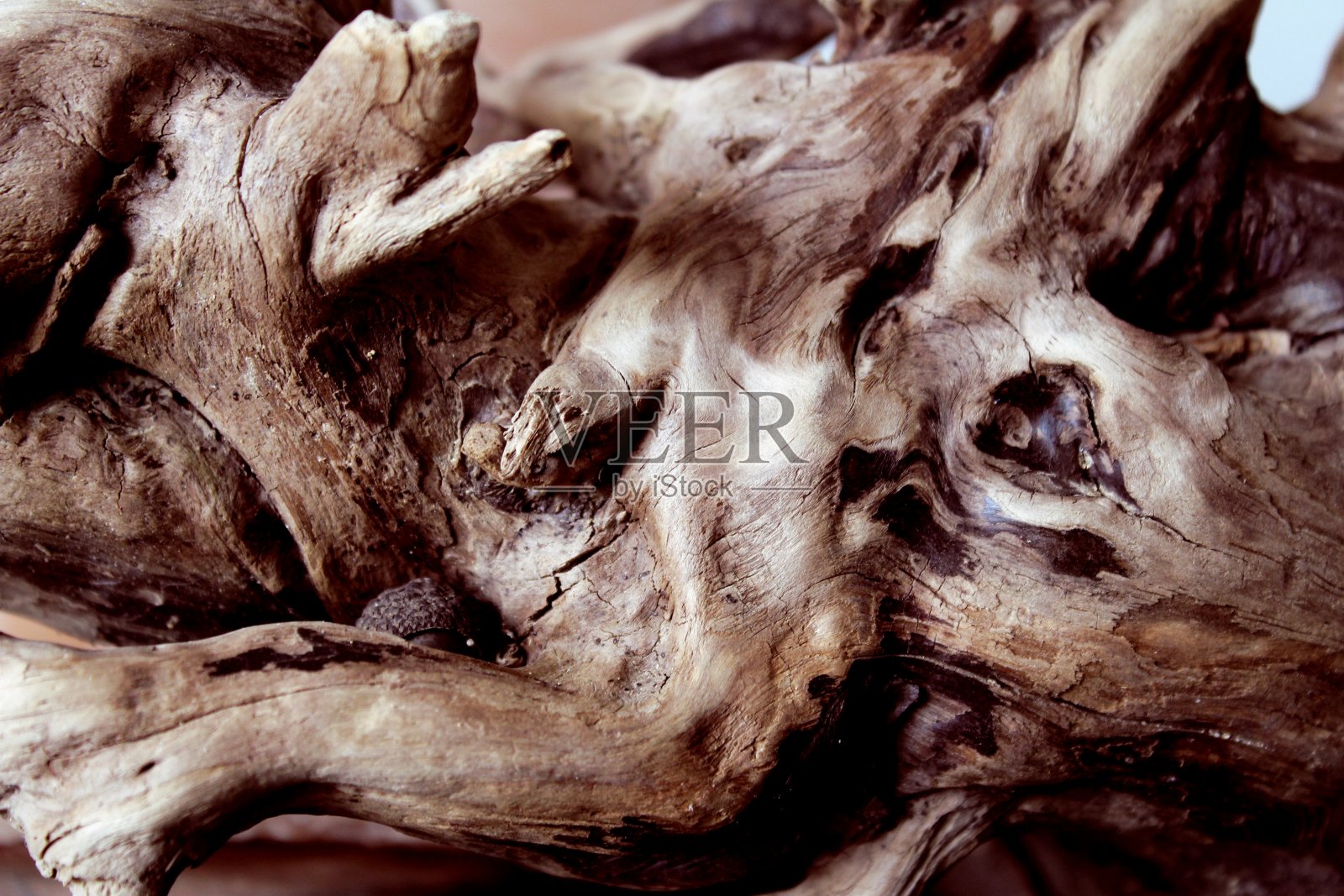 漂浮的木头照片摄影图片