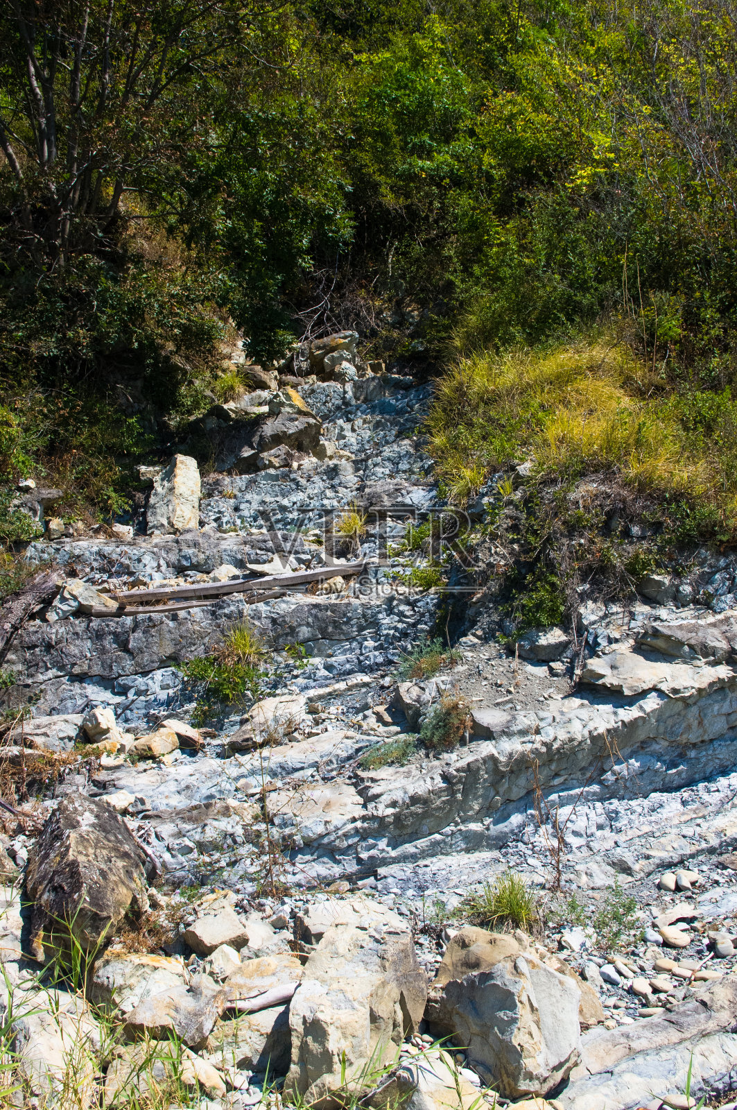 海岸的岩石和石头照片摄影图片