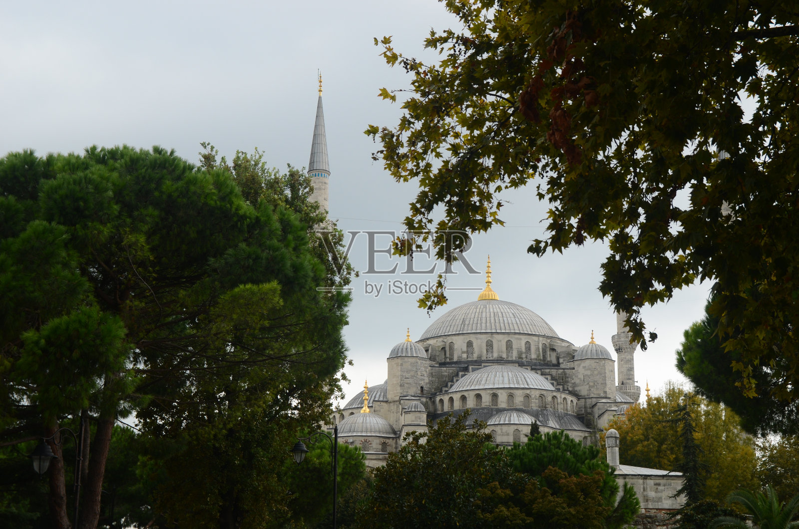 伊斯坦布尔的蓝色清真寺照片摄影图片