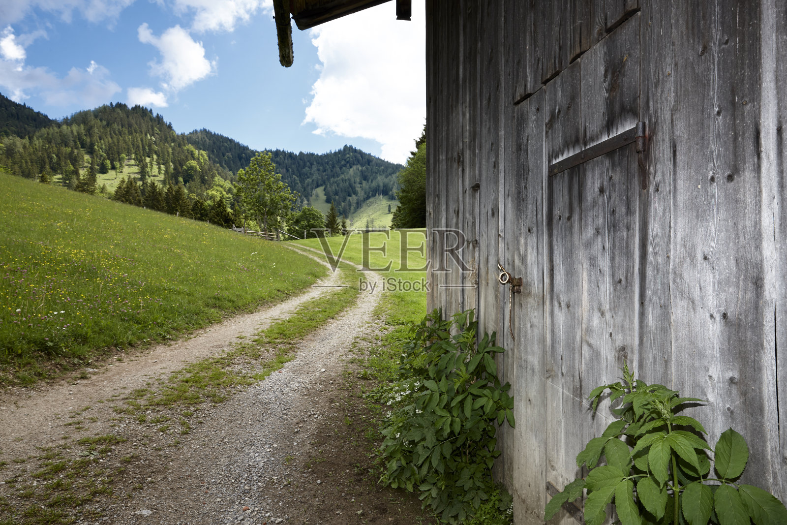 越野车照片摄影图片