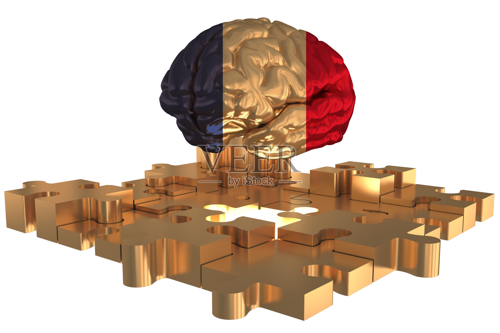 法国旗脑概念黄金高一个缺失的谜题照片摄影图片