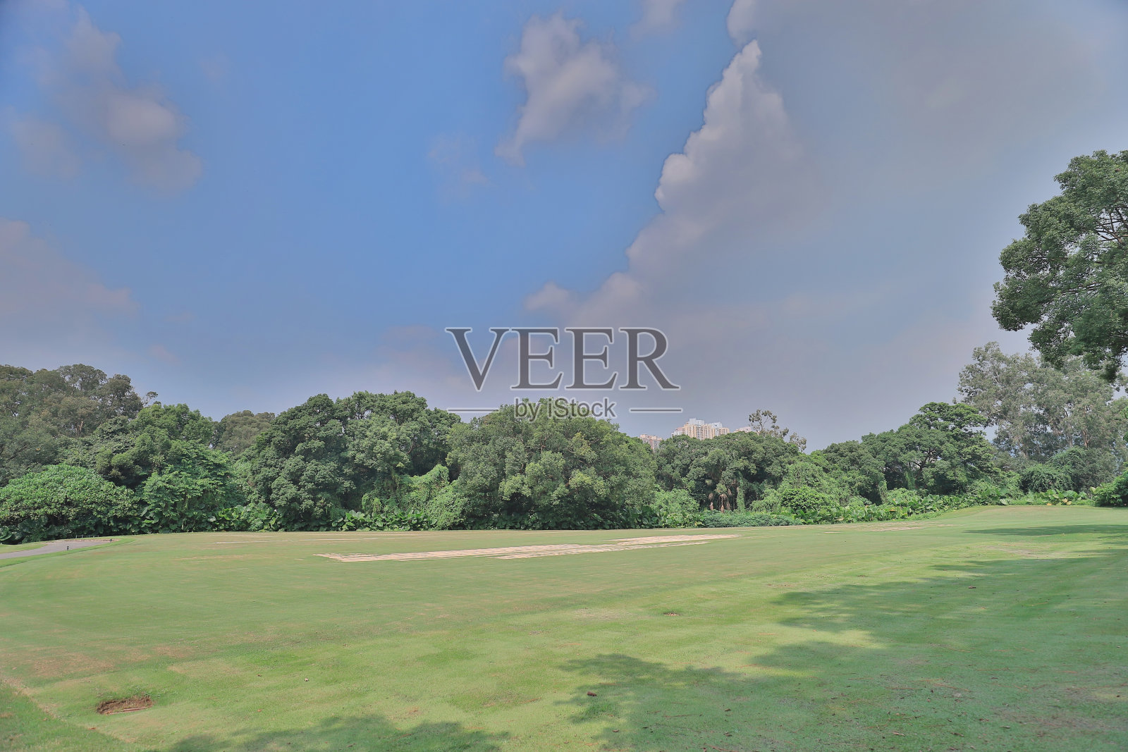 香港乡村俱乐部的高尔夫球场照片摄影图片