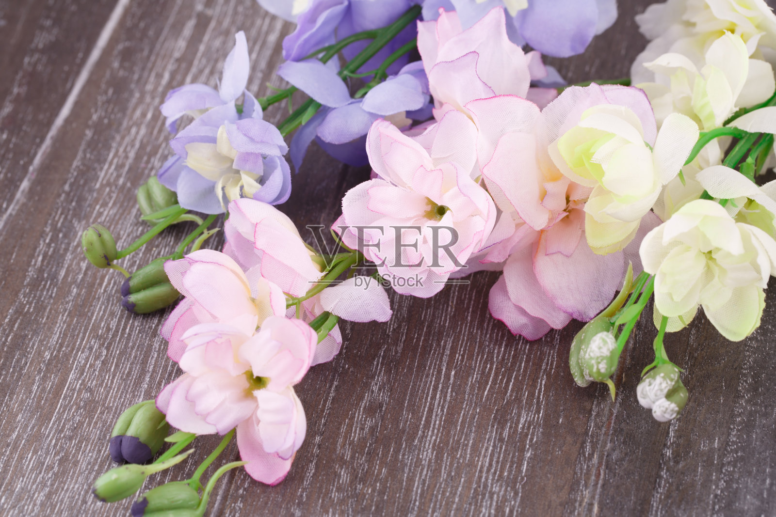 花照片摄影图片