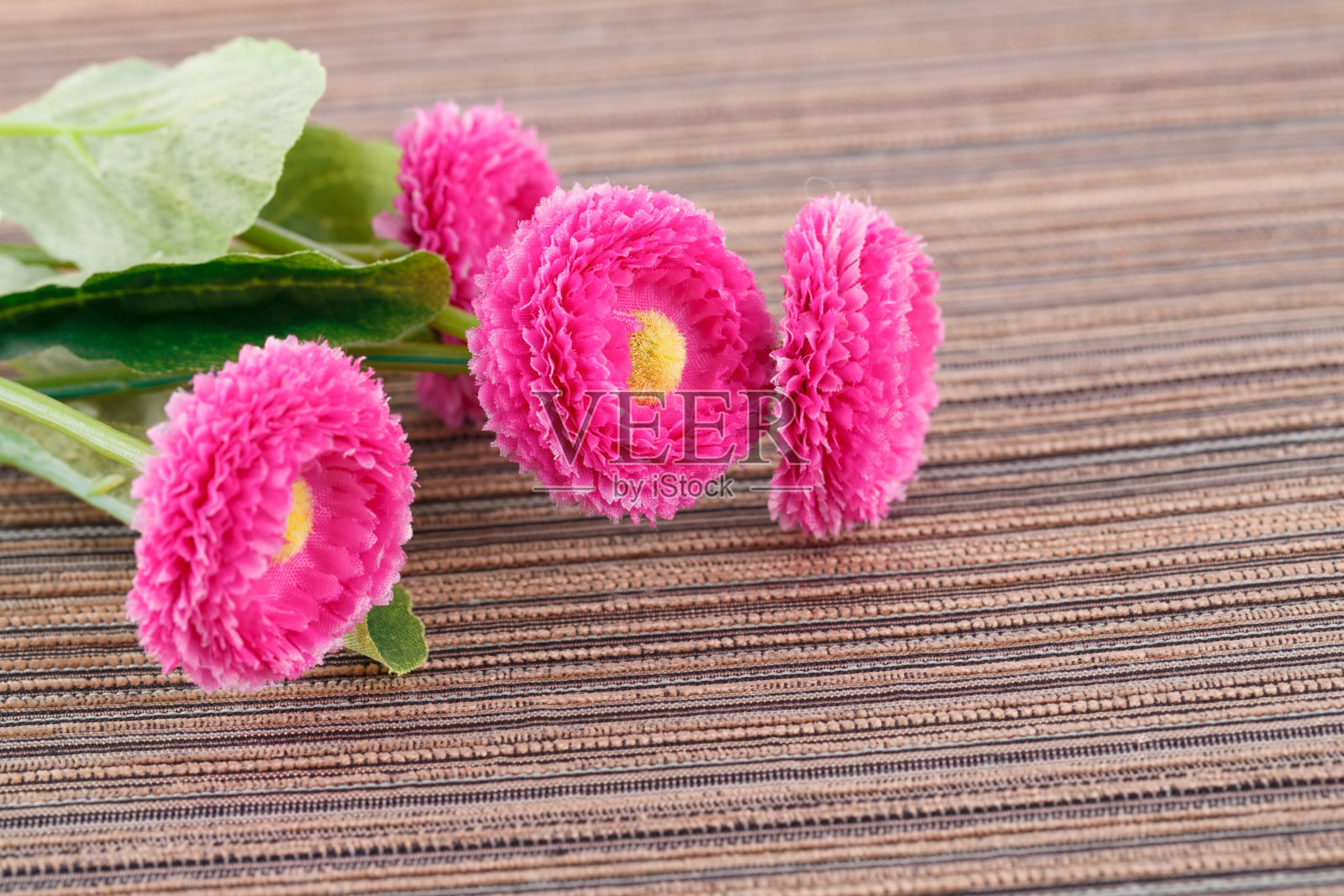 花照片摄影图片