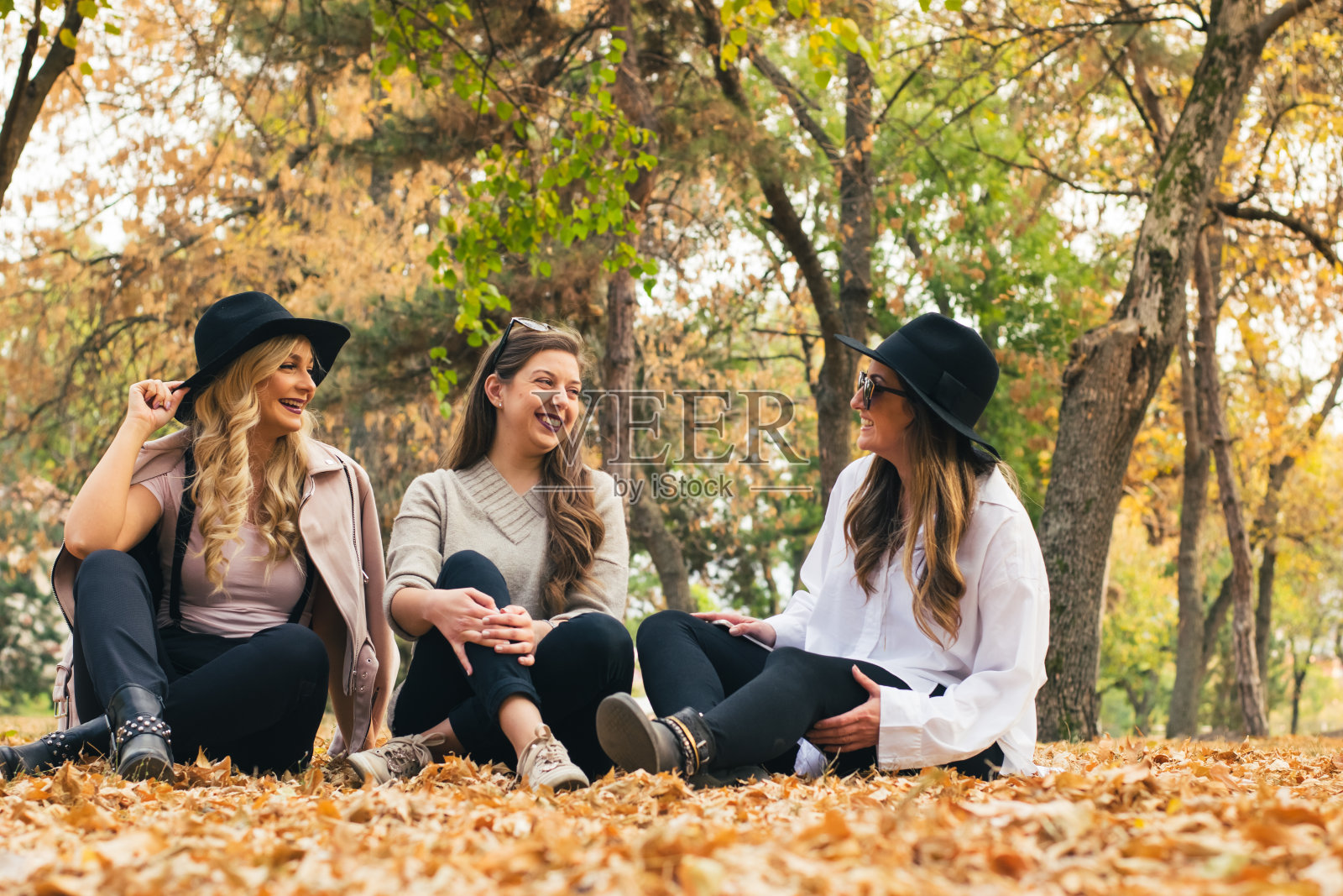 秋日最好的朋友在公园里照片摄影图片