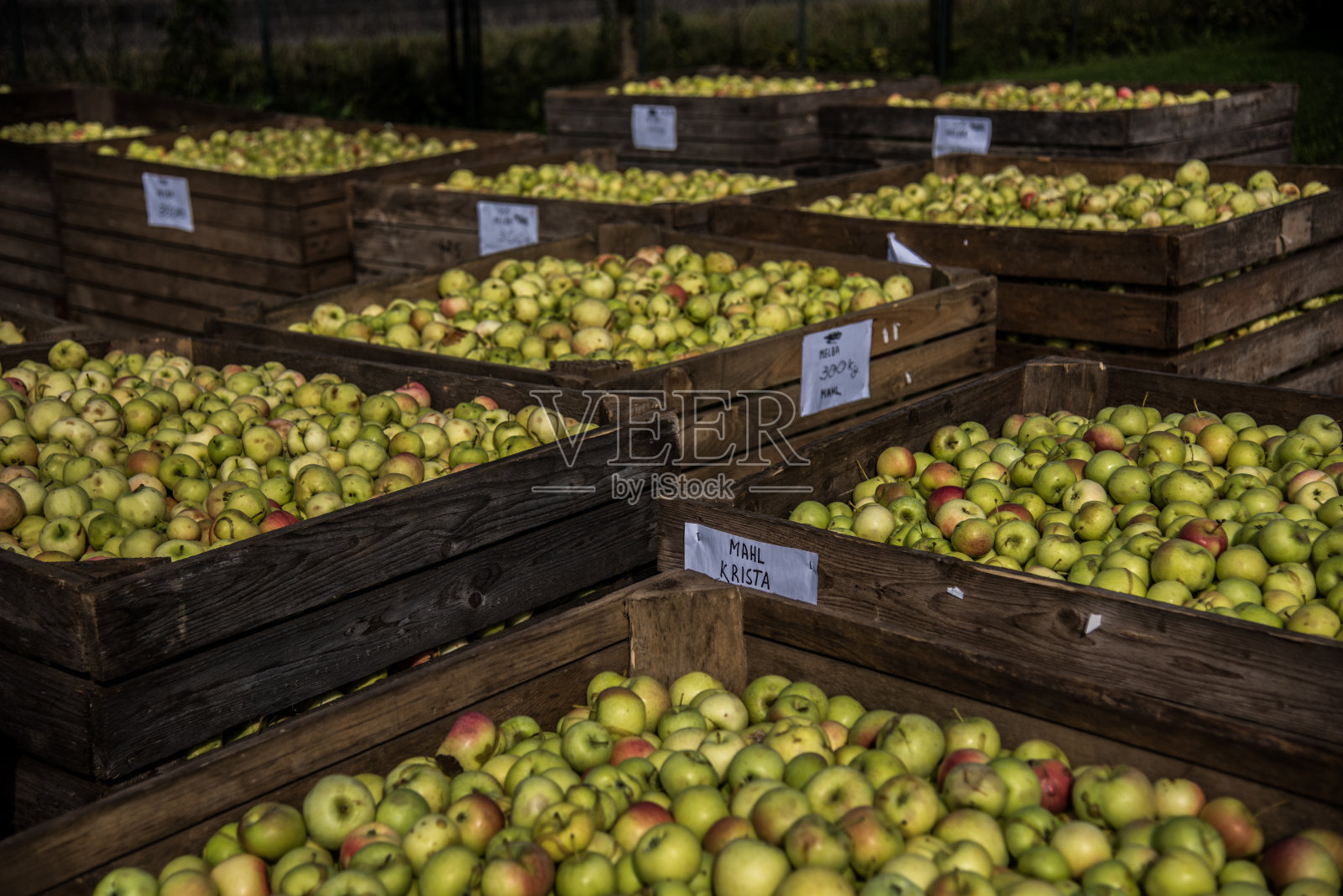 木箱装苹果照片摄影图片
