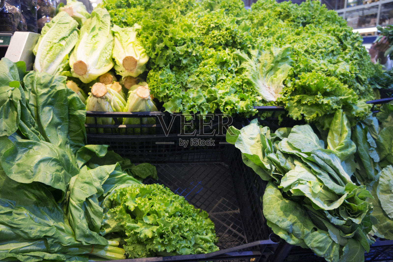 健康新鲜的绿色蔬菜背景照片摄影图片