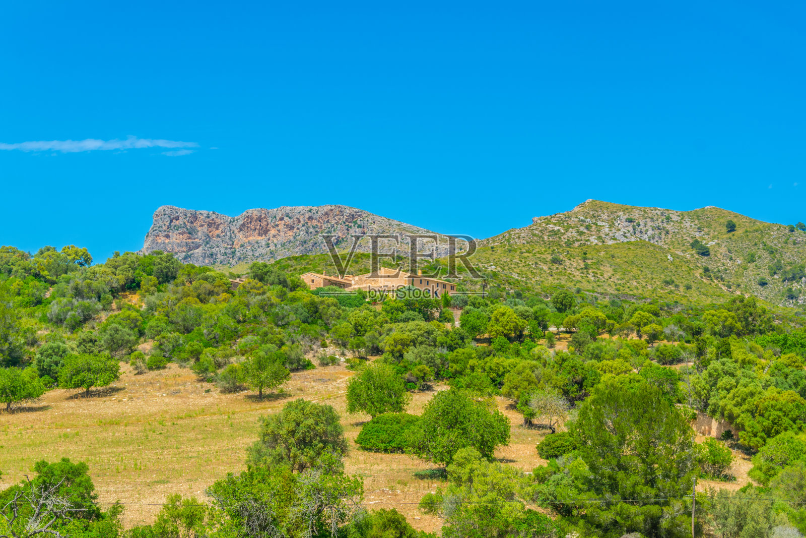 莱万特自然公园的山峰照片摄影图片