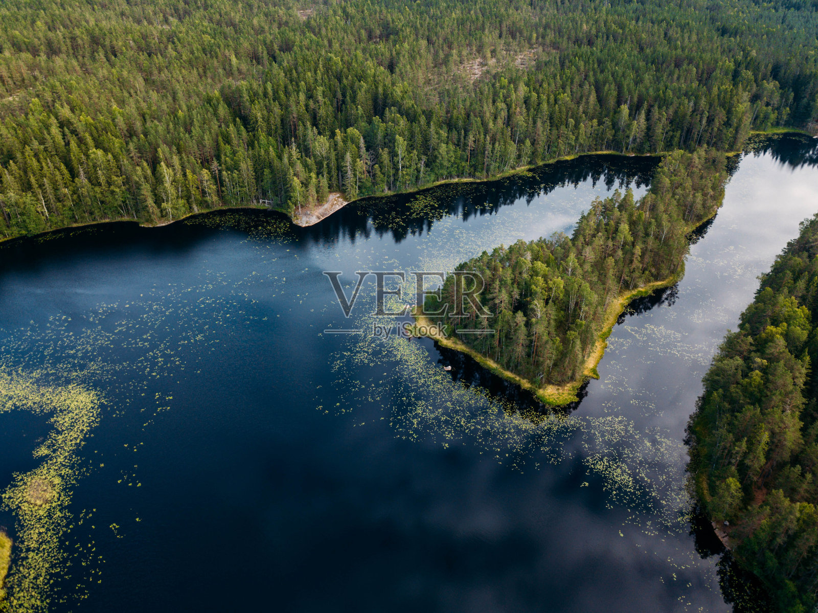 鸟瞰图蓝色的湖泊和绿色的森林在一个阳光明媚的夏天在芬兰照片摄影图片
