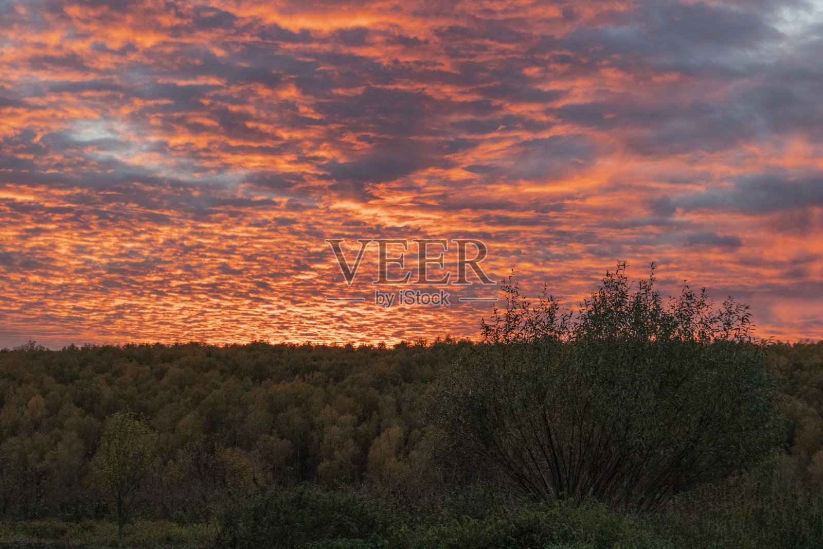 日落时的羽毛云照片摄影图片