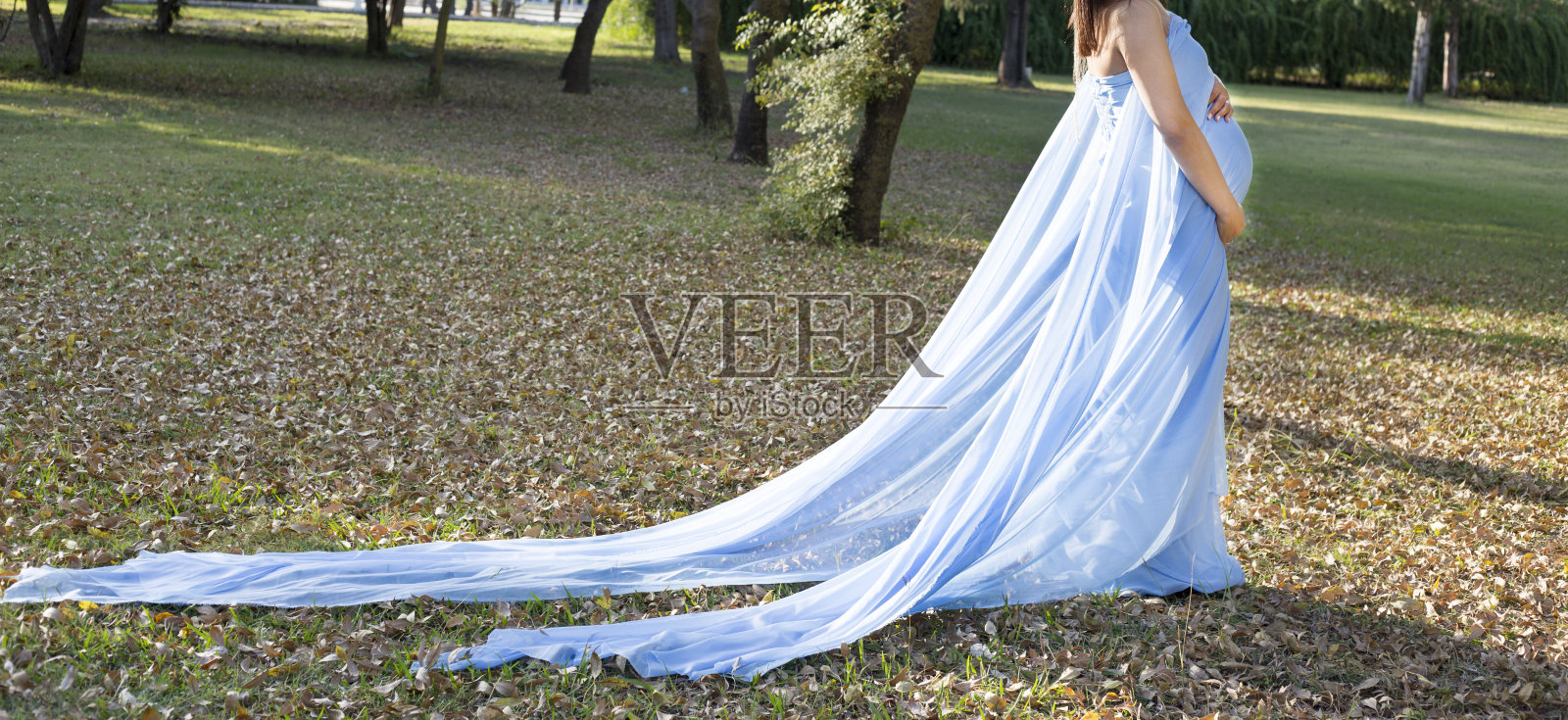 怀孕的肚子在自然界。怀孕、爱、母性和期望概念。孕妇待产照片摄影图片