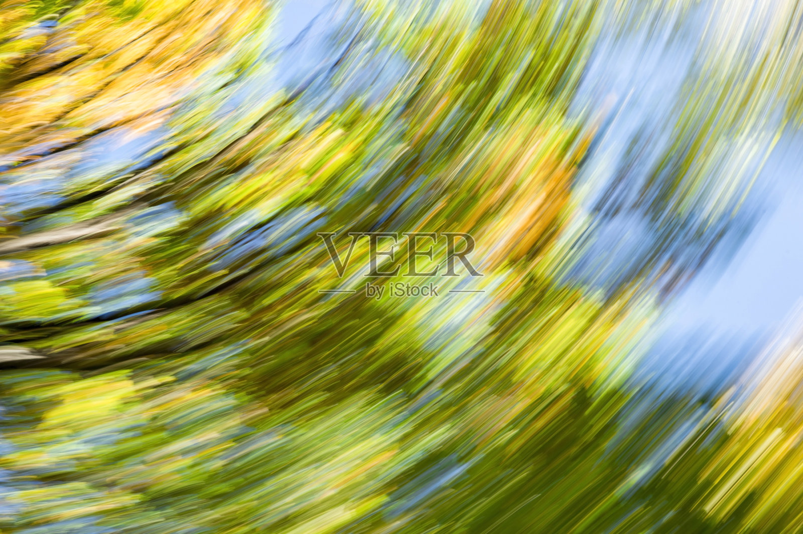 模糊抽象的背景秋叶在树上的运动。秋季自然轮转的概念照片摄影图片