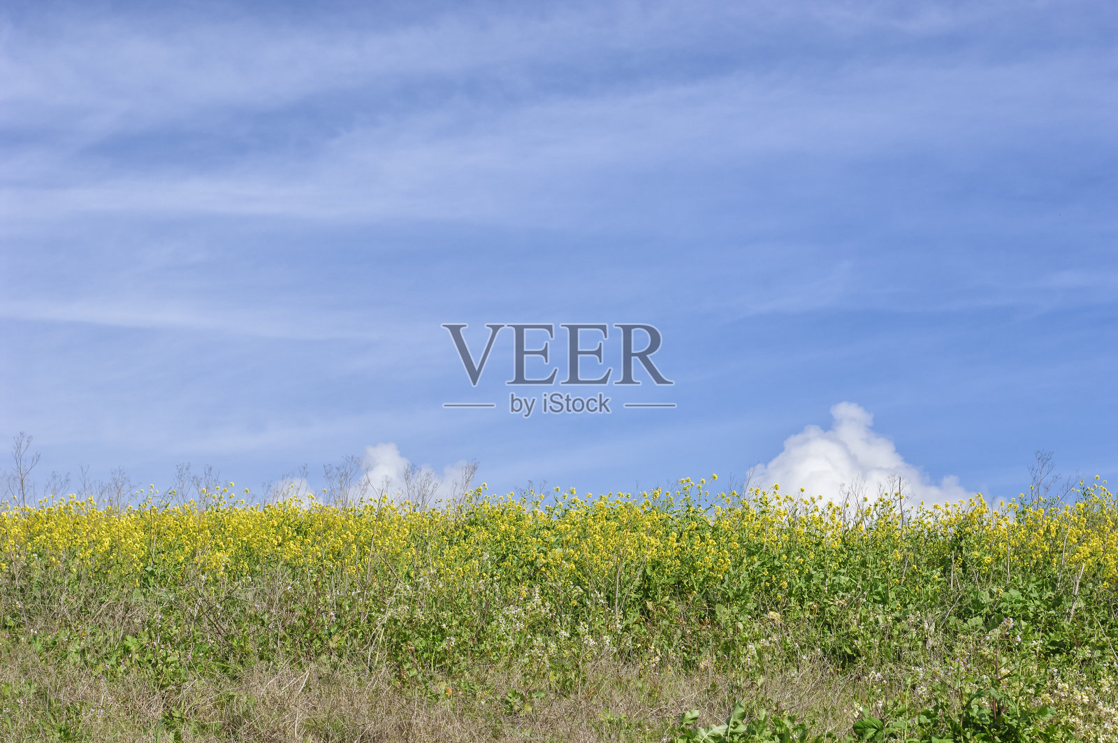 云景在草山上照片摄影图片