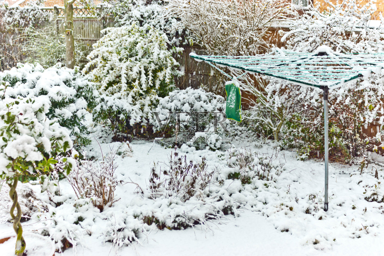 冬季的家庭花园照片摄影图片