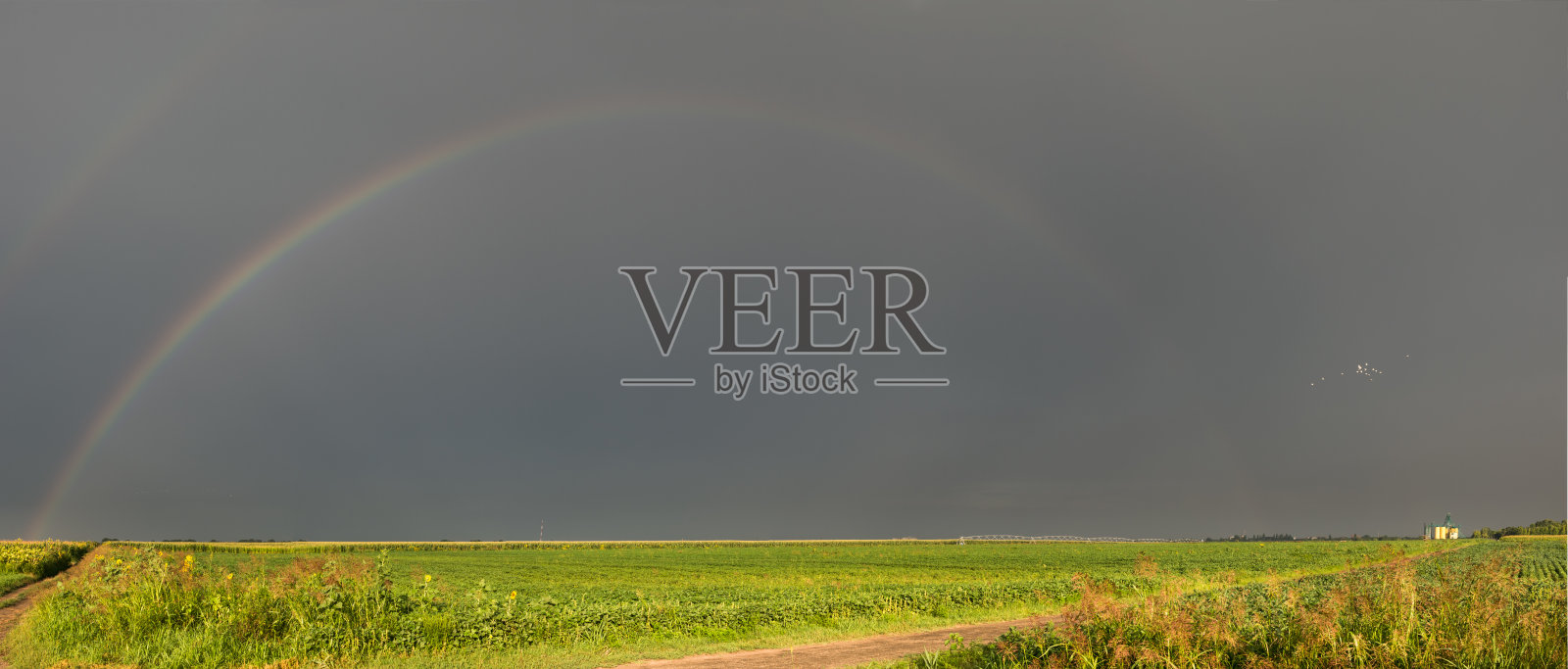 玉米田里的彩虹照片摄影图片