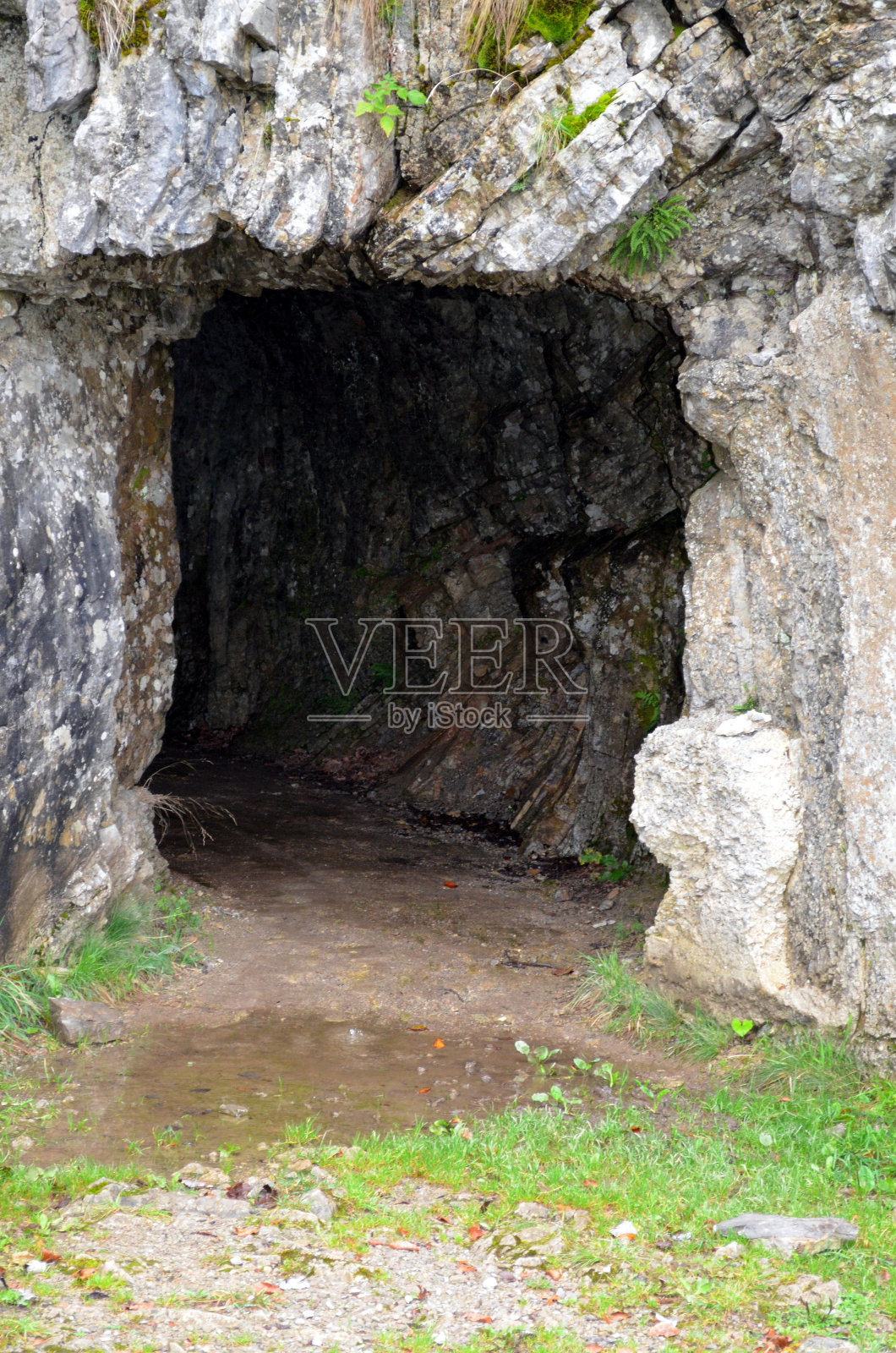 第一次世界大战照片摄影图片