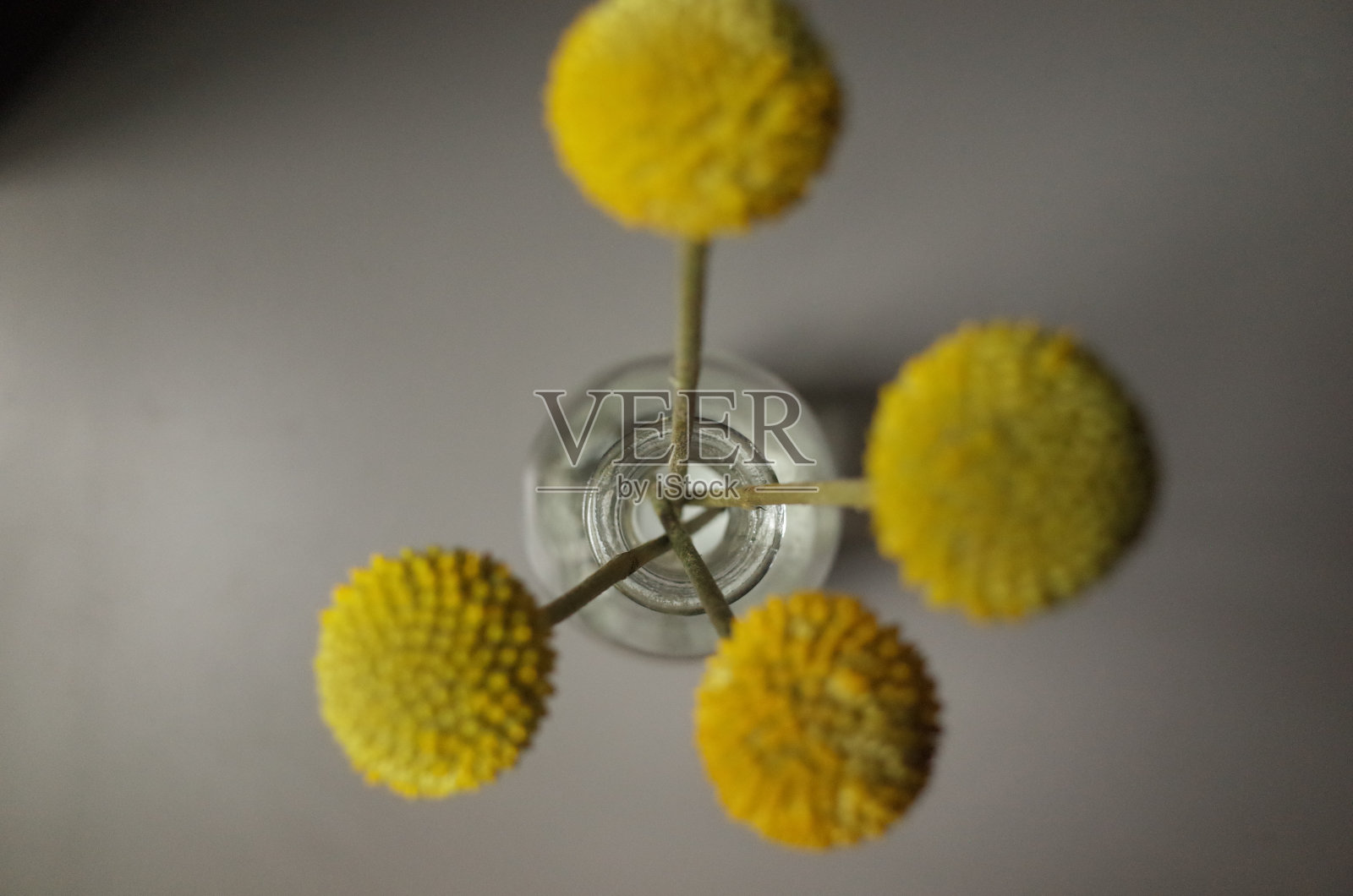 静物摄影照片摄影图片