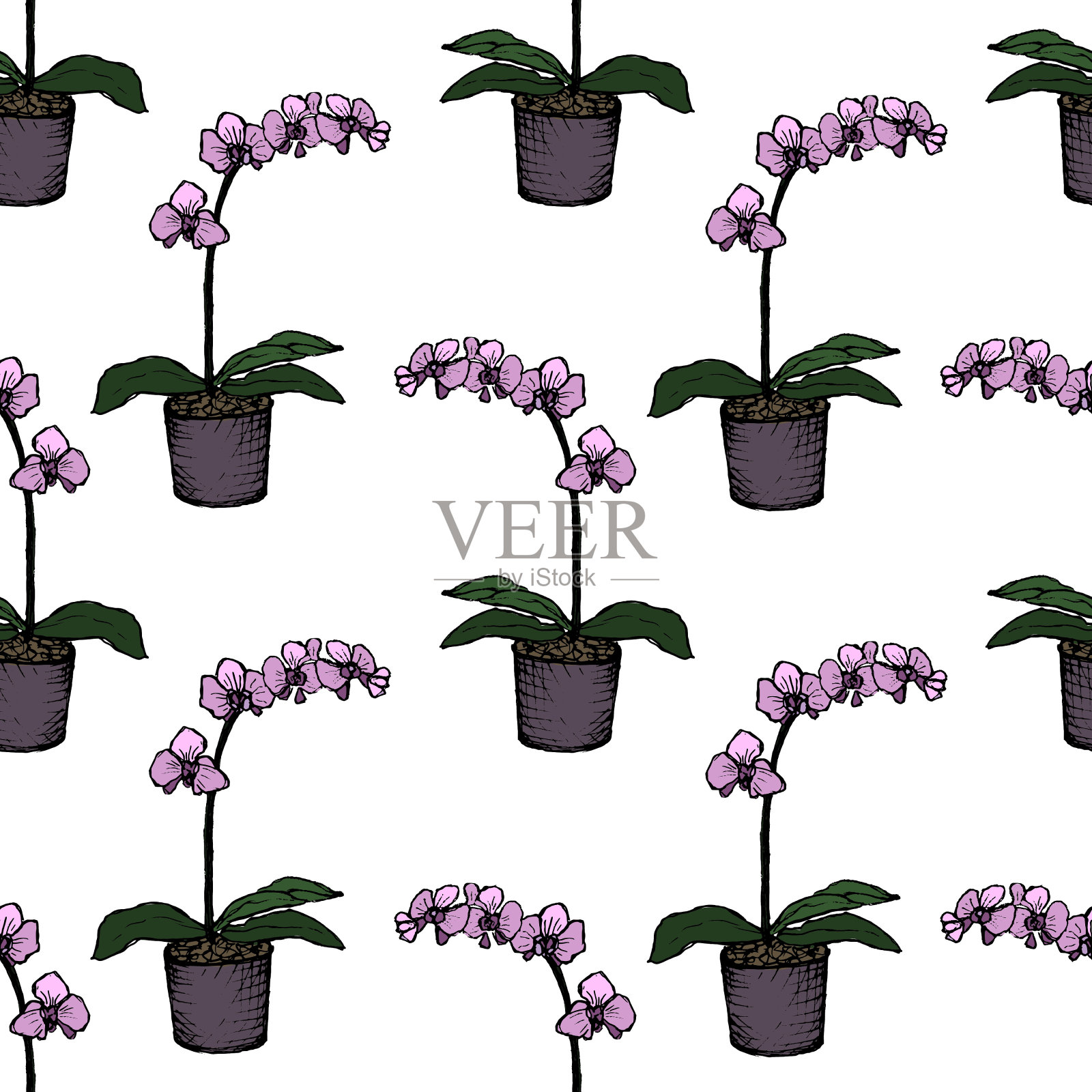室内植物-兰花-颜色无缝图案插画图片素材