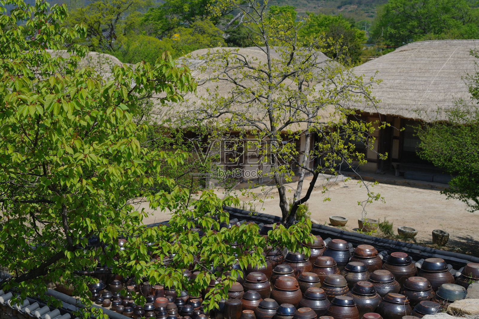 长干松要塞照片摄影图片