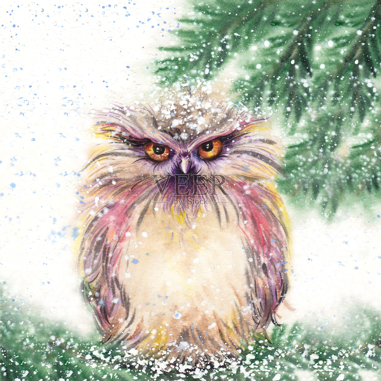 有趣的冬猫头鹰坐在雪下的松树树枝上。设计元素图片