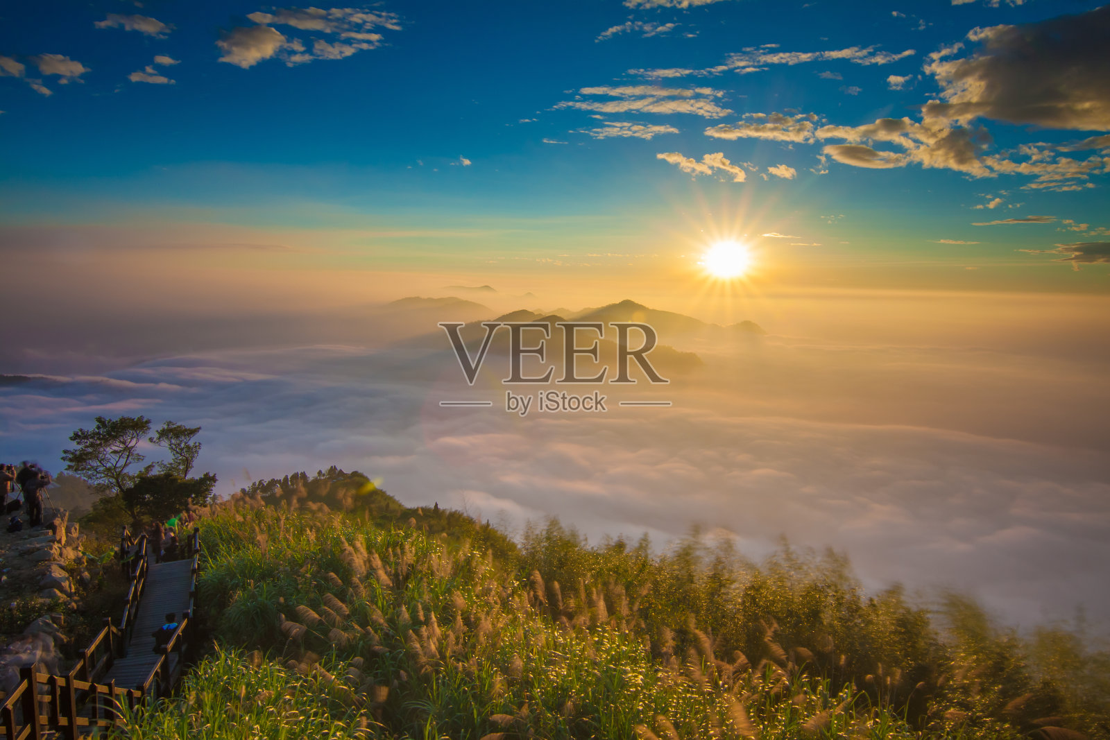 站照片摄影图片