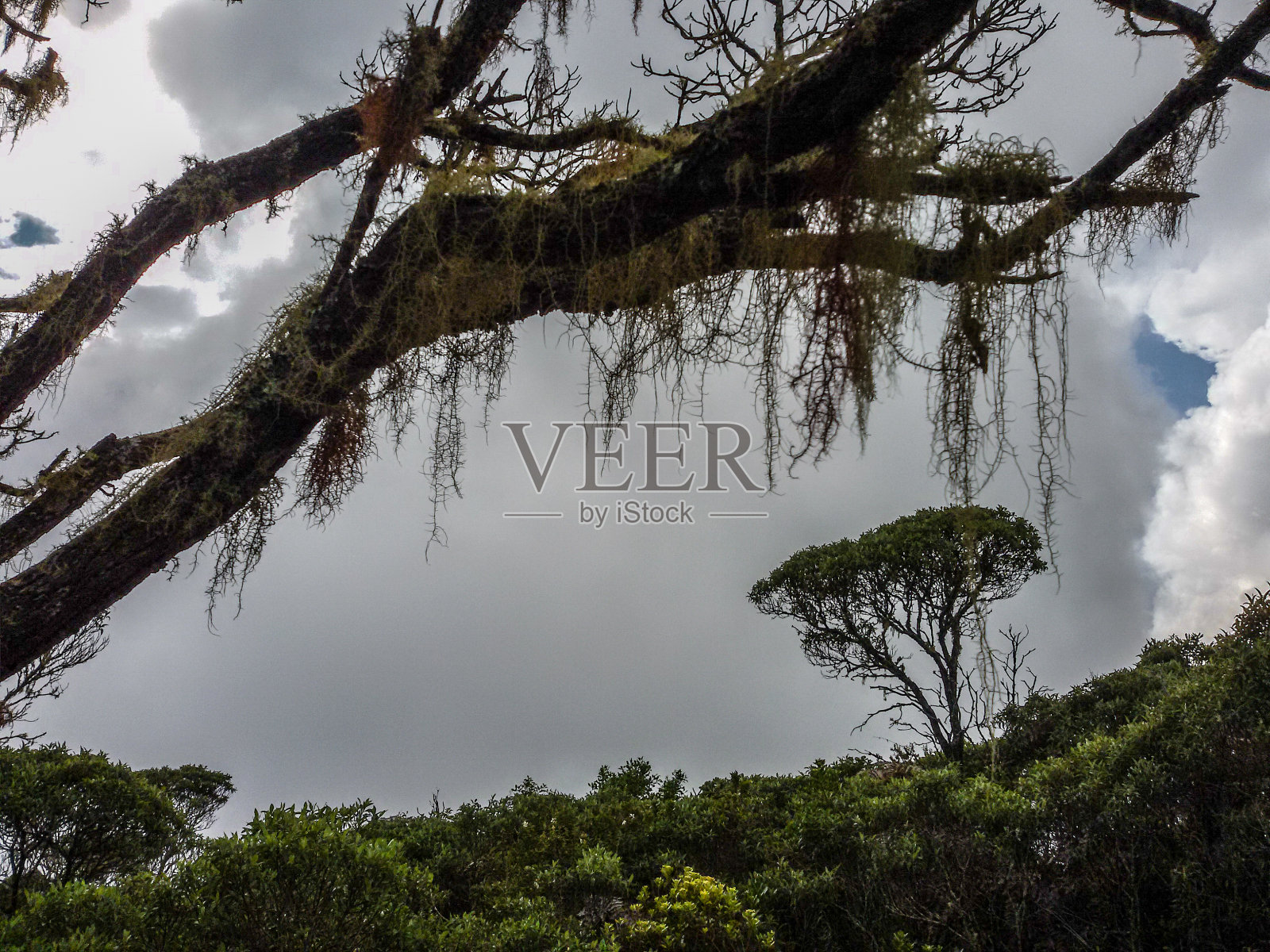 通往班代拉峰的道路照片摄影图片