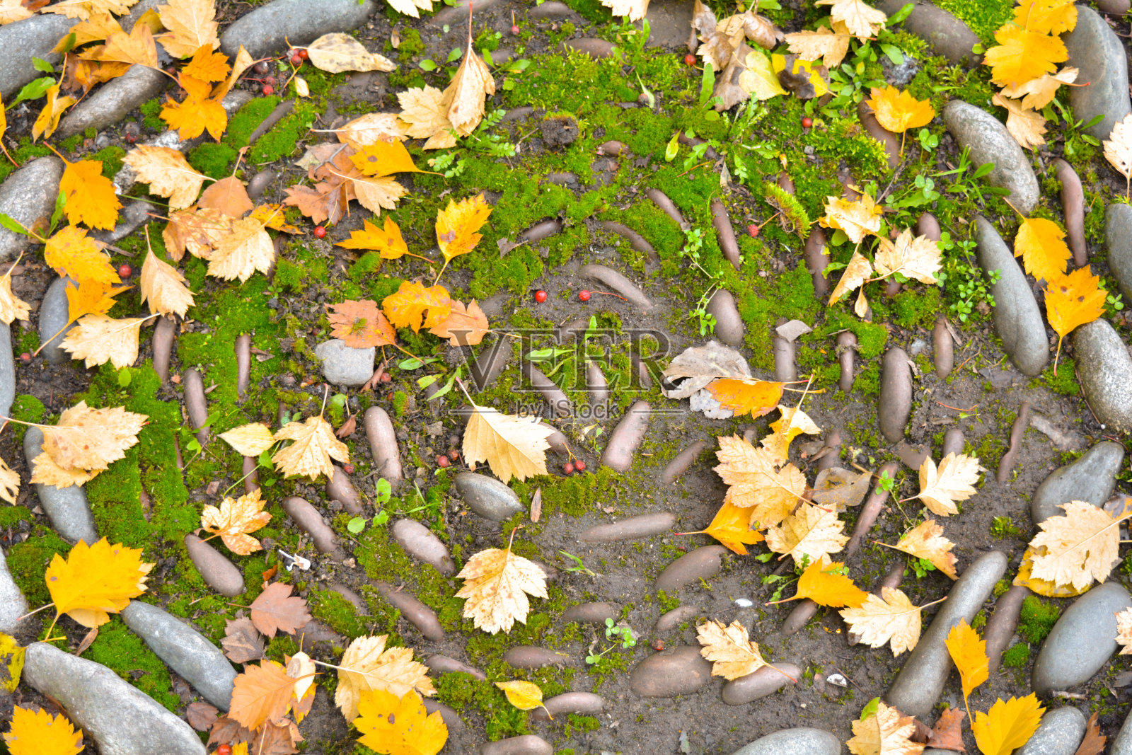 大卵石像装饰的圆圈，弯曲的小路上布满了黄色的秋叶照片摄影图片