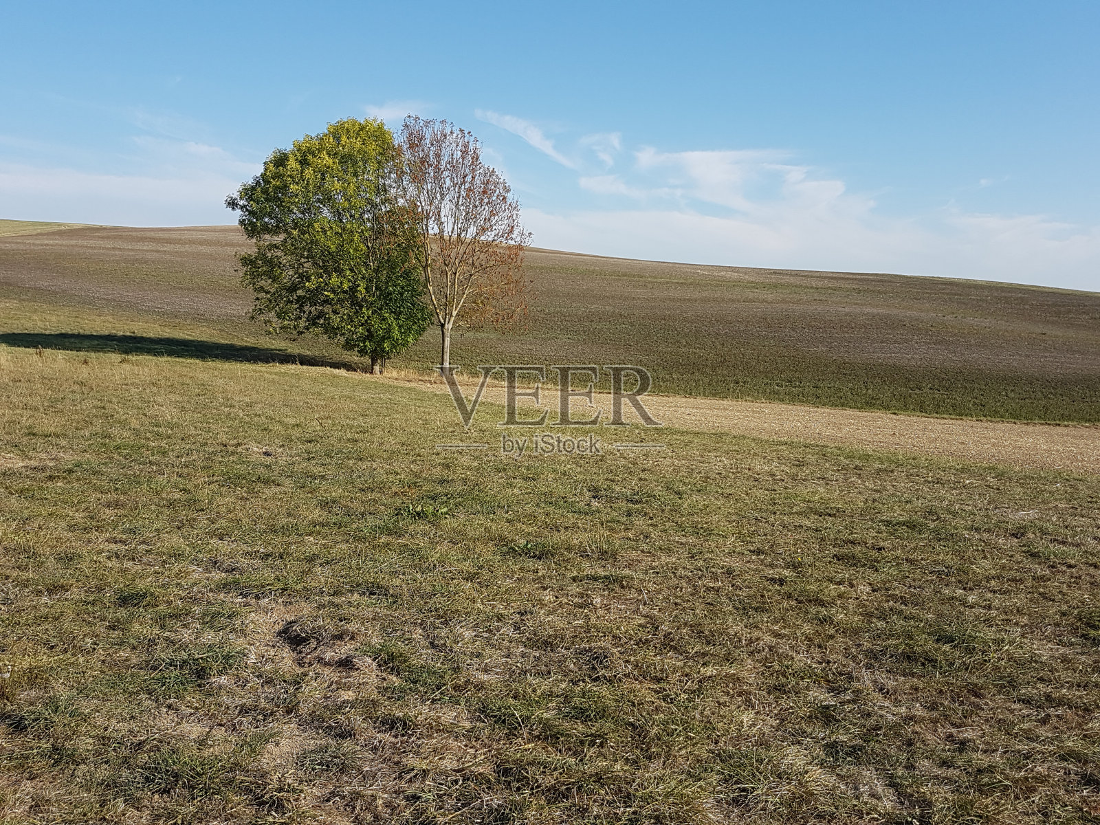 秋天的景色照片摄影图片