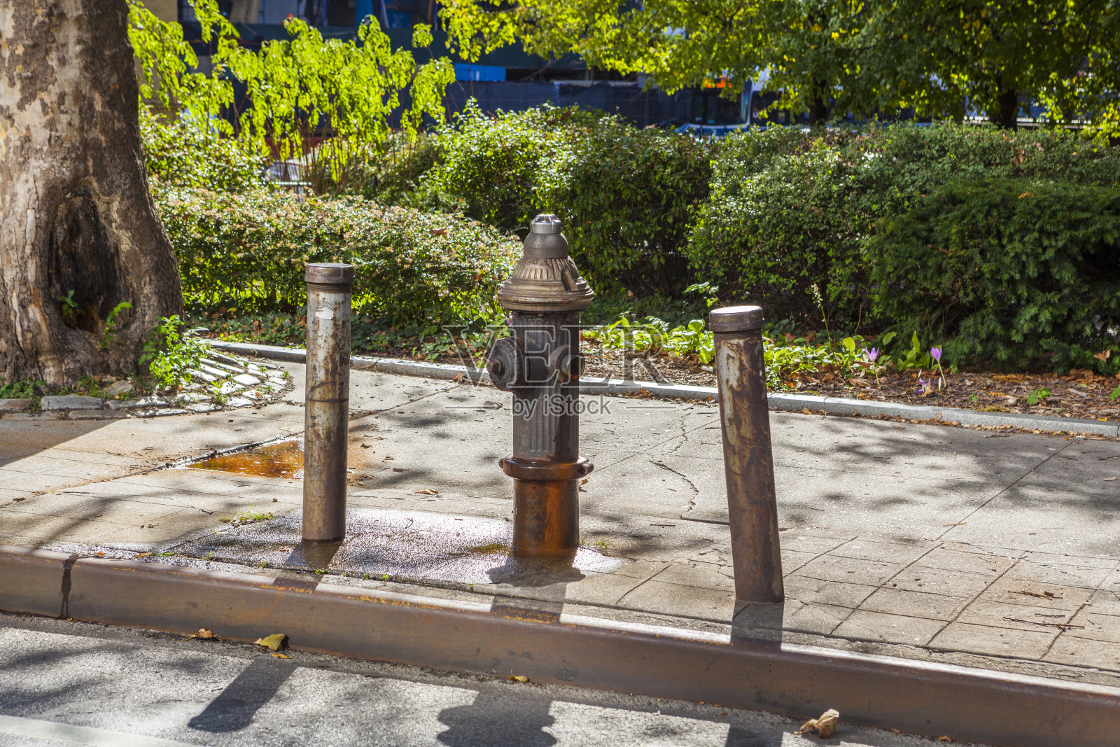 消防栓，纽约照片摄影图片