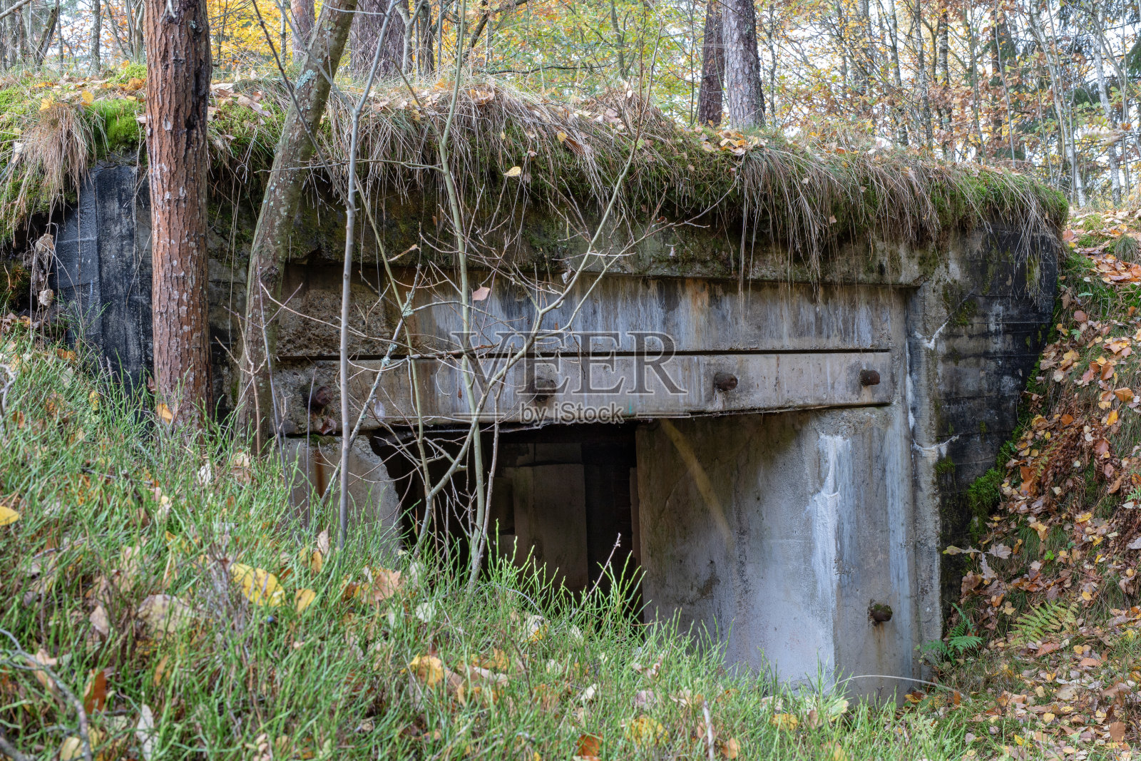 中欧被拆除的地堡。波美拉尼亚堤岸的旧钢筋混凝土防御工事。秋天的季节。照片摄影图片