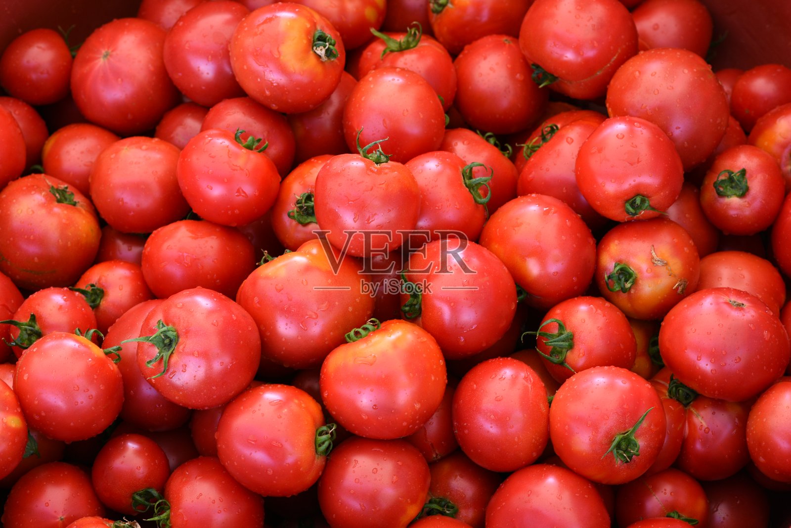 VD700番茄照片摄影图片
