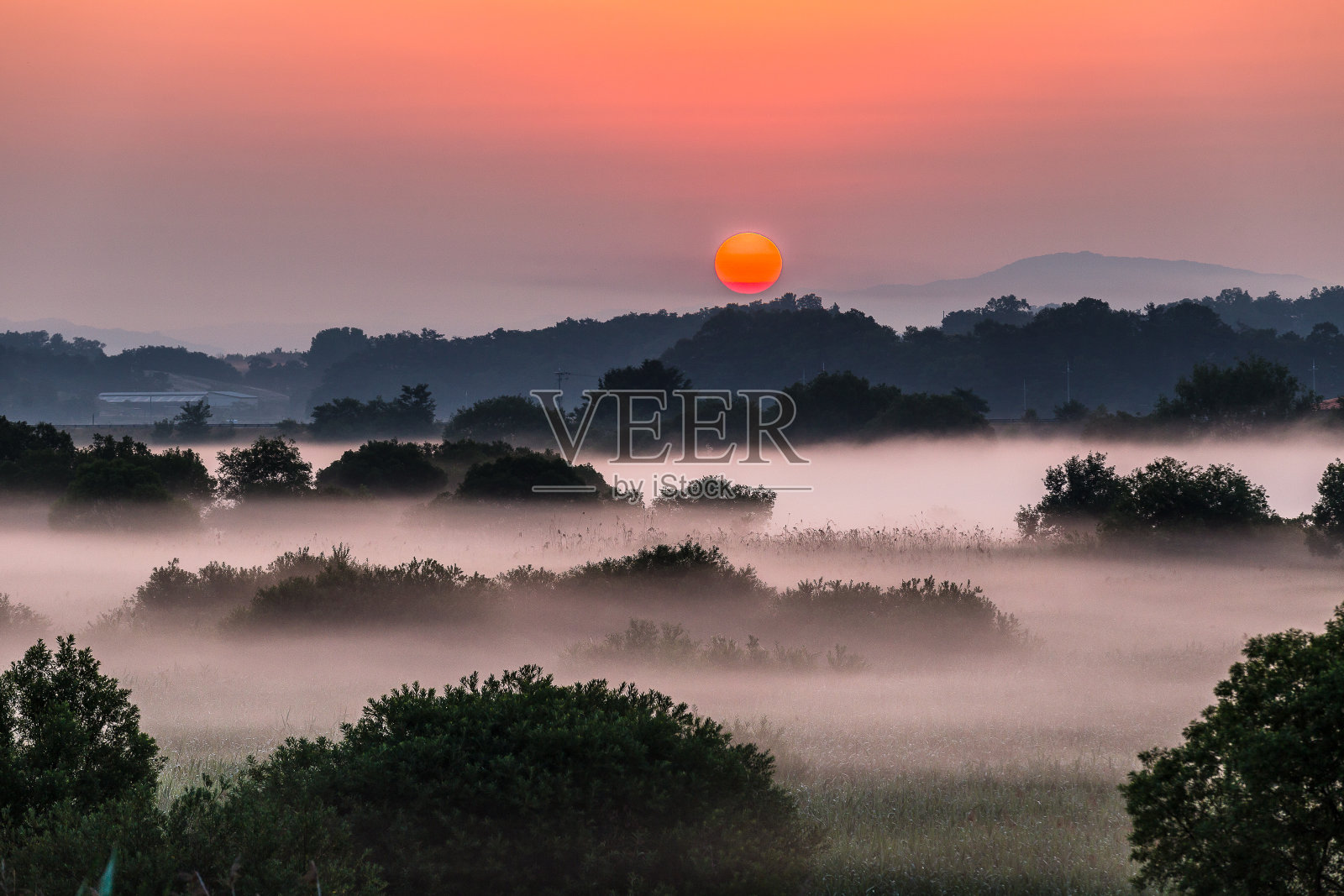 Vd737水鸟顶峰日出的河流沼泽照片摄影图片