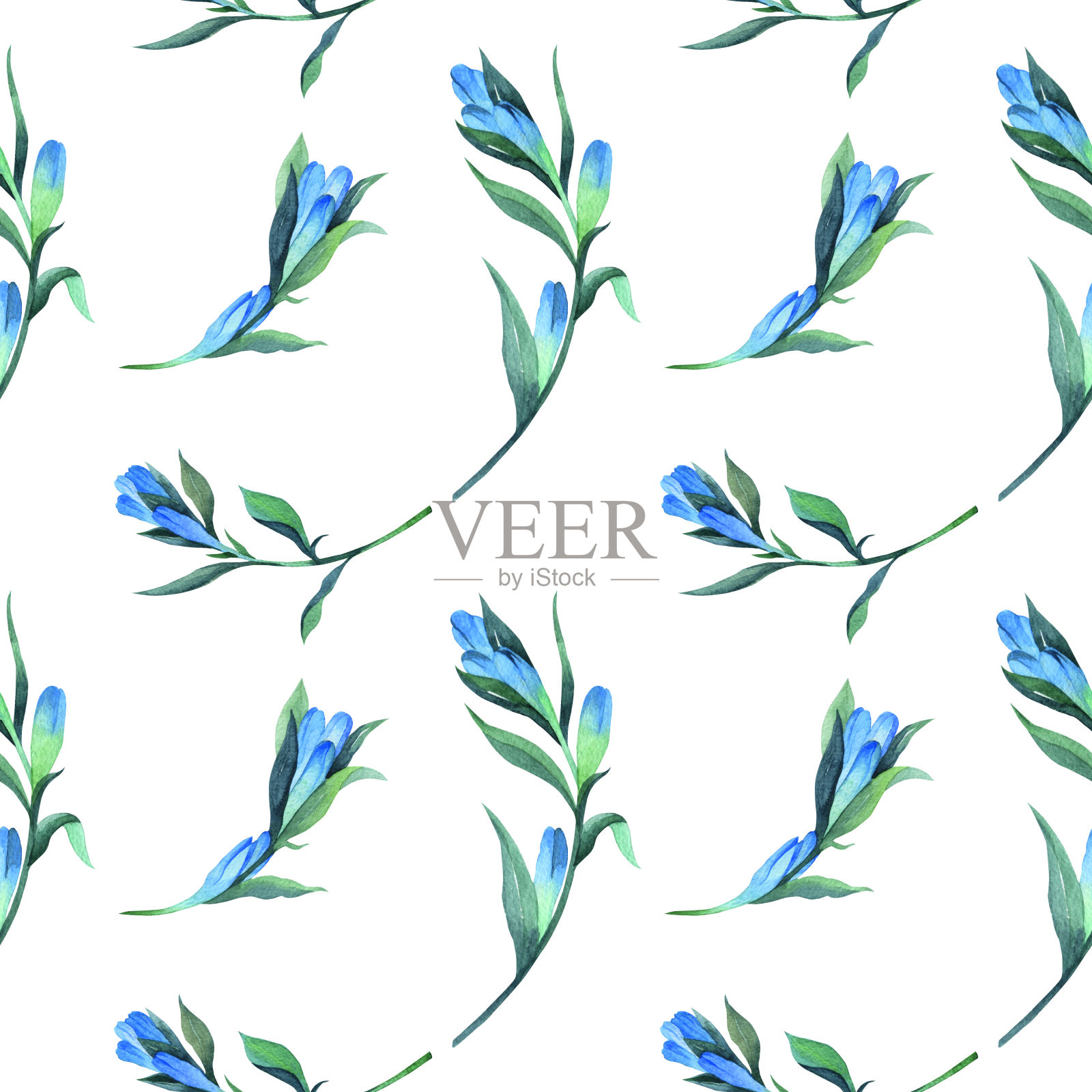 水彩风格的花卉图案。插画图片素材