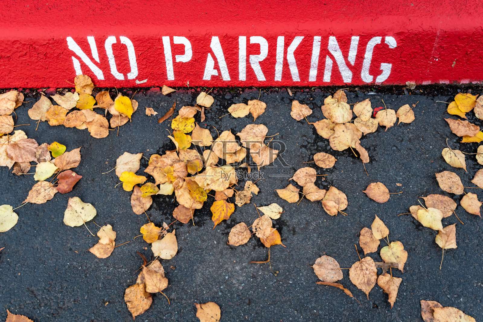 禁止停车照片摄影图片