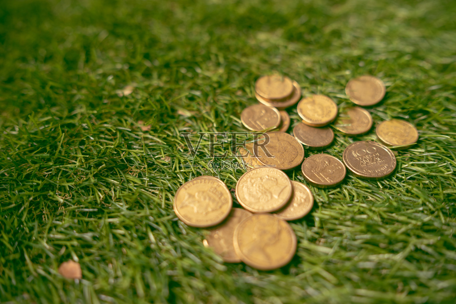 草地上的澳大利亚硬币照片摄影图片