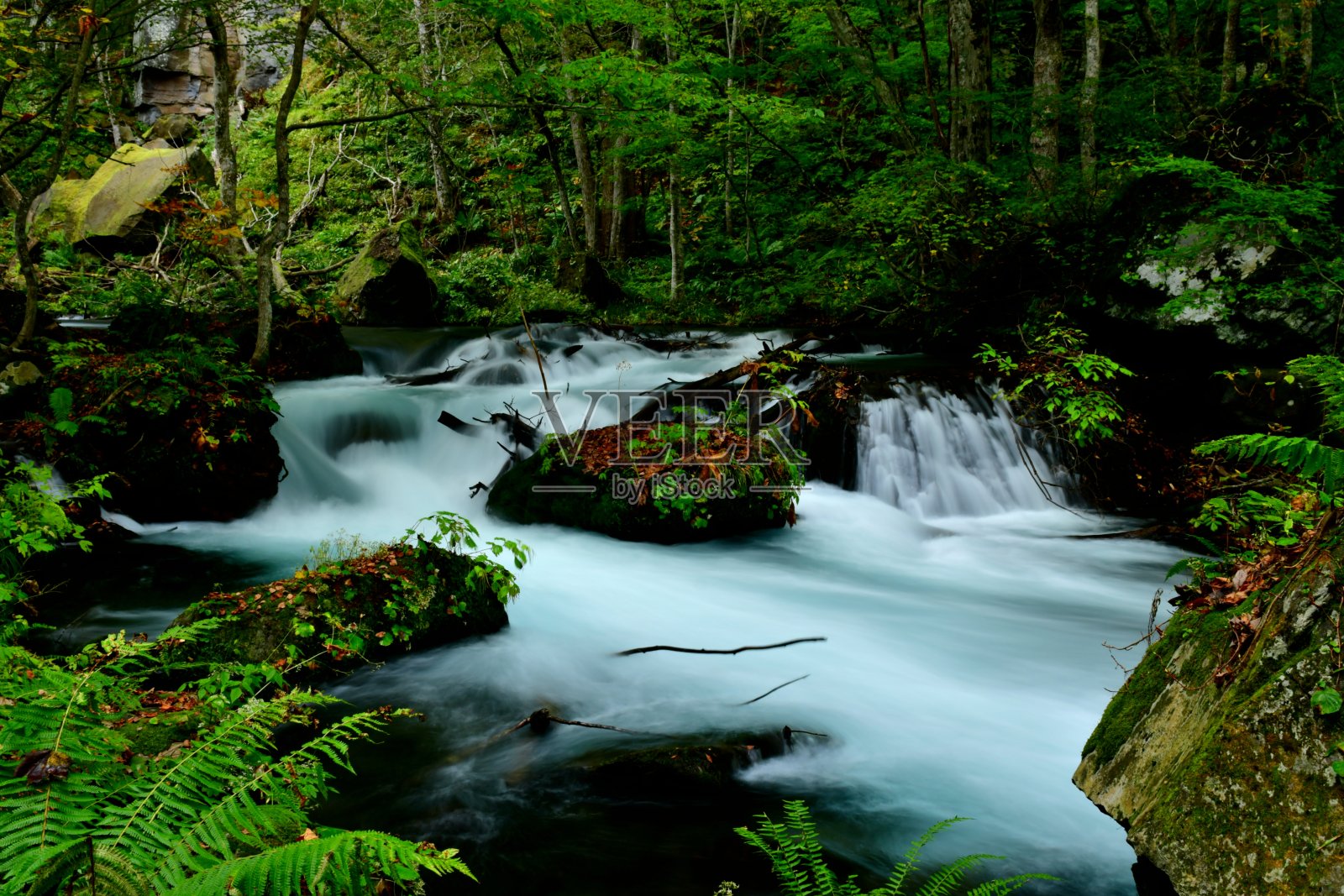 日本青森县奥入濑山涧的初秋照片摄影图片