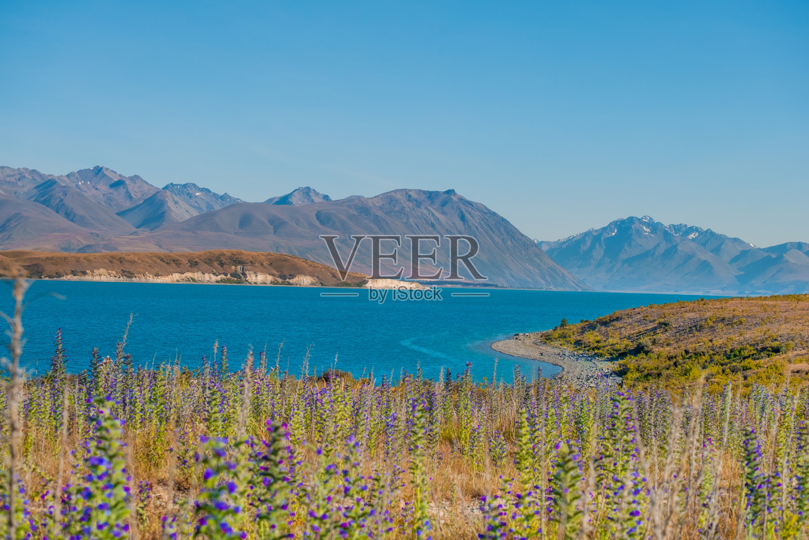 美丽的风景库克山旁边的特卡波湖在新西兰照片摄影图片