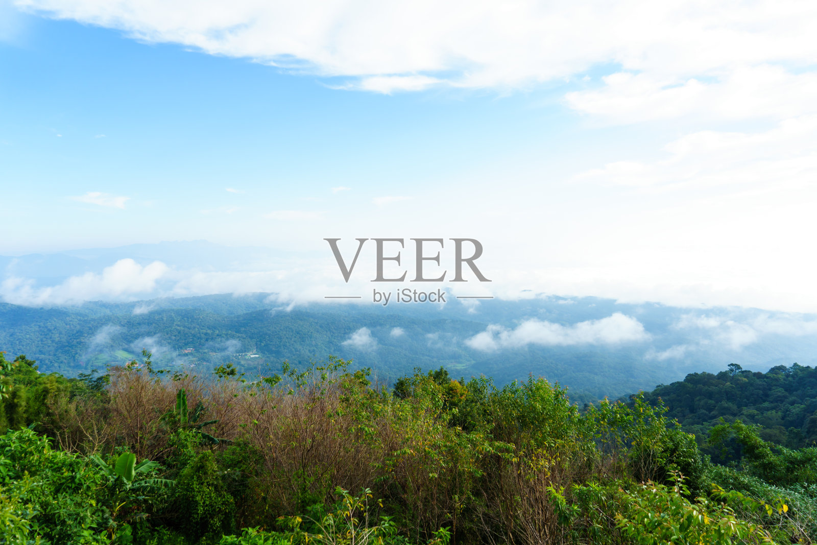 蓝天白云与草甸树。泰国夏季海报的平原景观背景。照片摄影图片