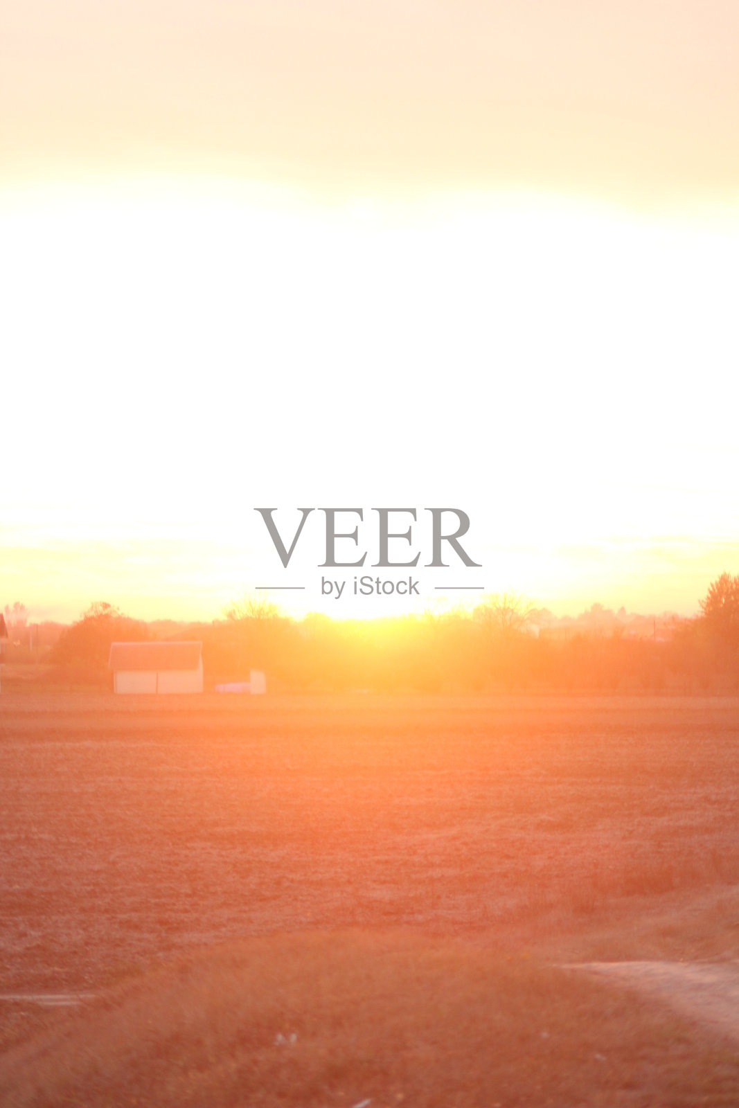 晚秋农地播种照片摄影图片