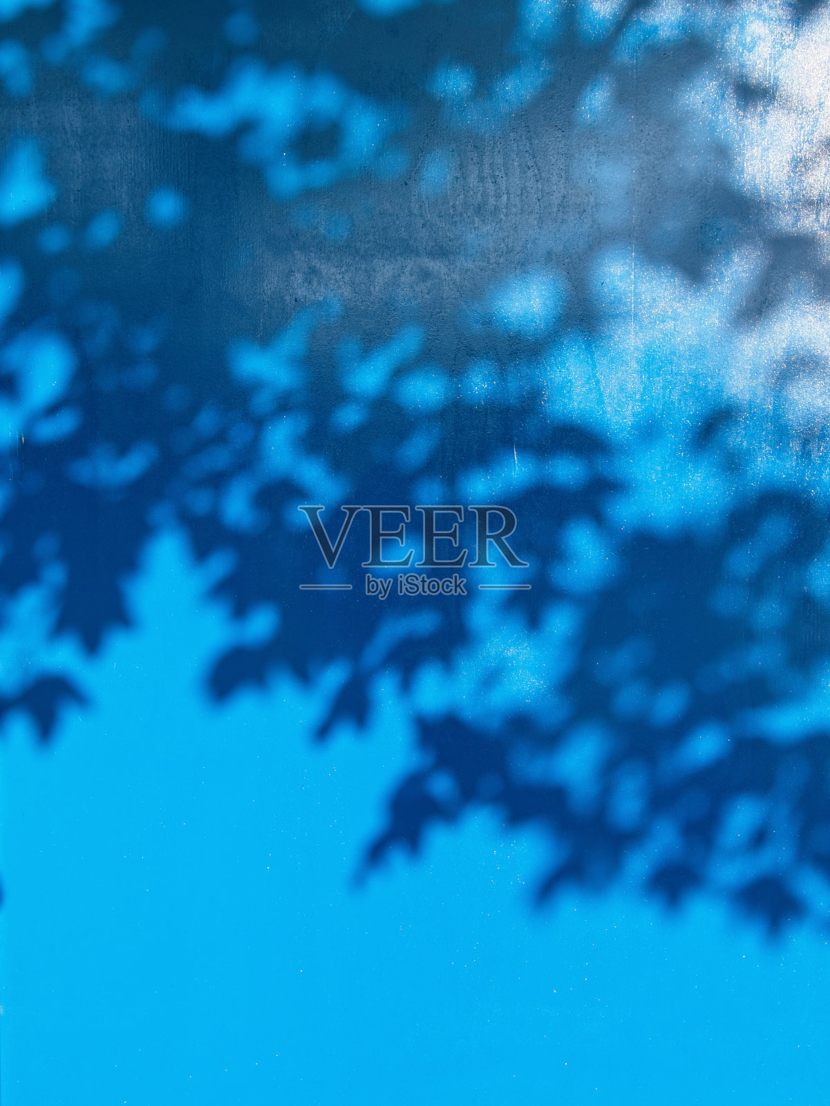 树枝和树叶的影子投射在蓝色的木墙上的抽象图像。照片摄影图片