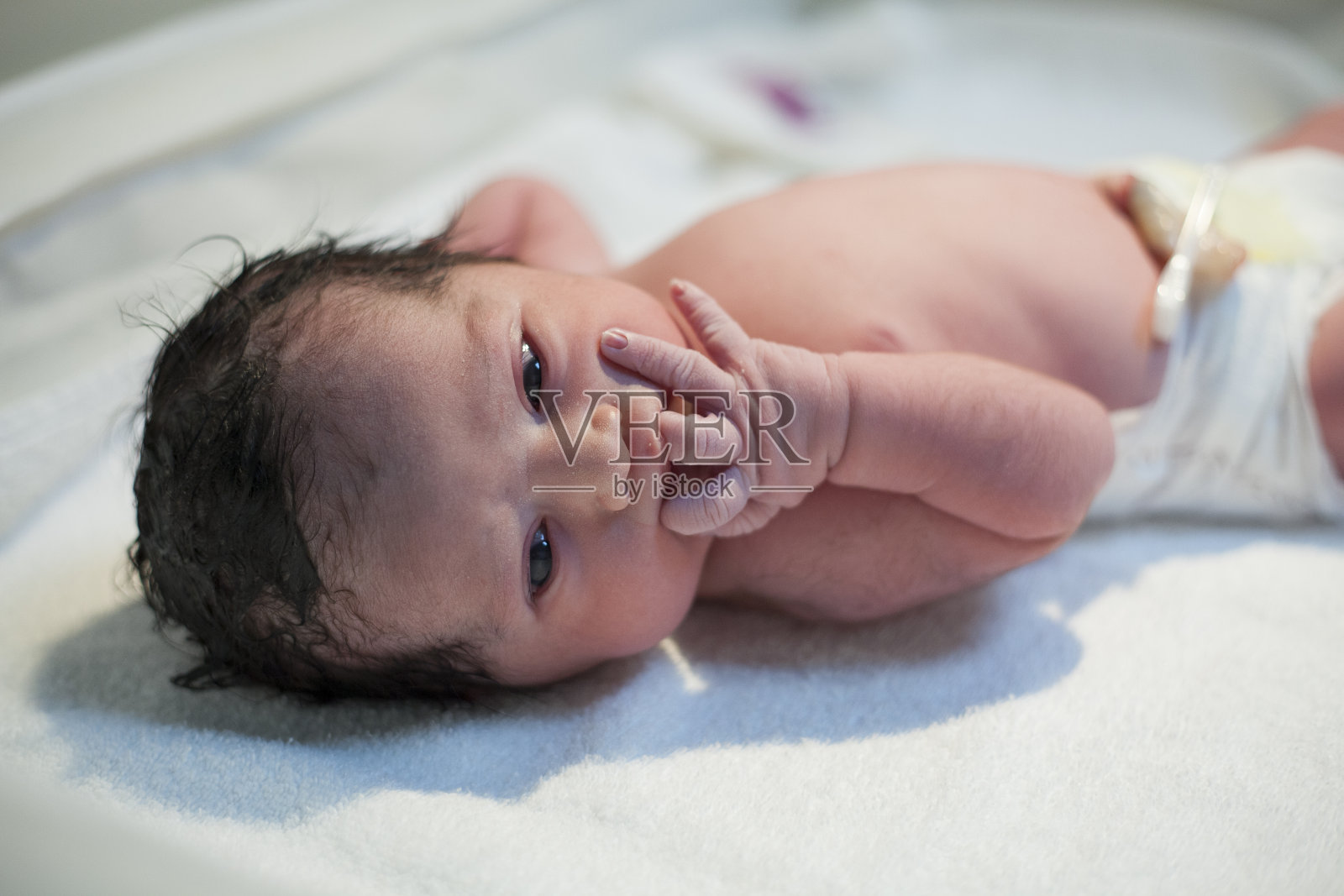 新出生的婴儿照片摄影图片
