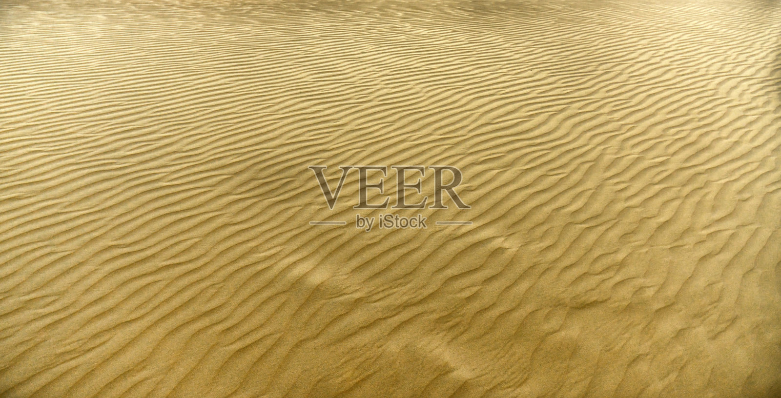 风吹过的小沙丘在沙漠上形成美丽的褶裥照片摄影图片