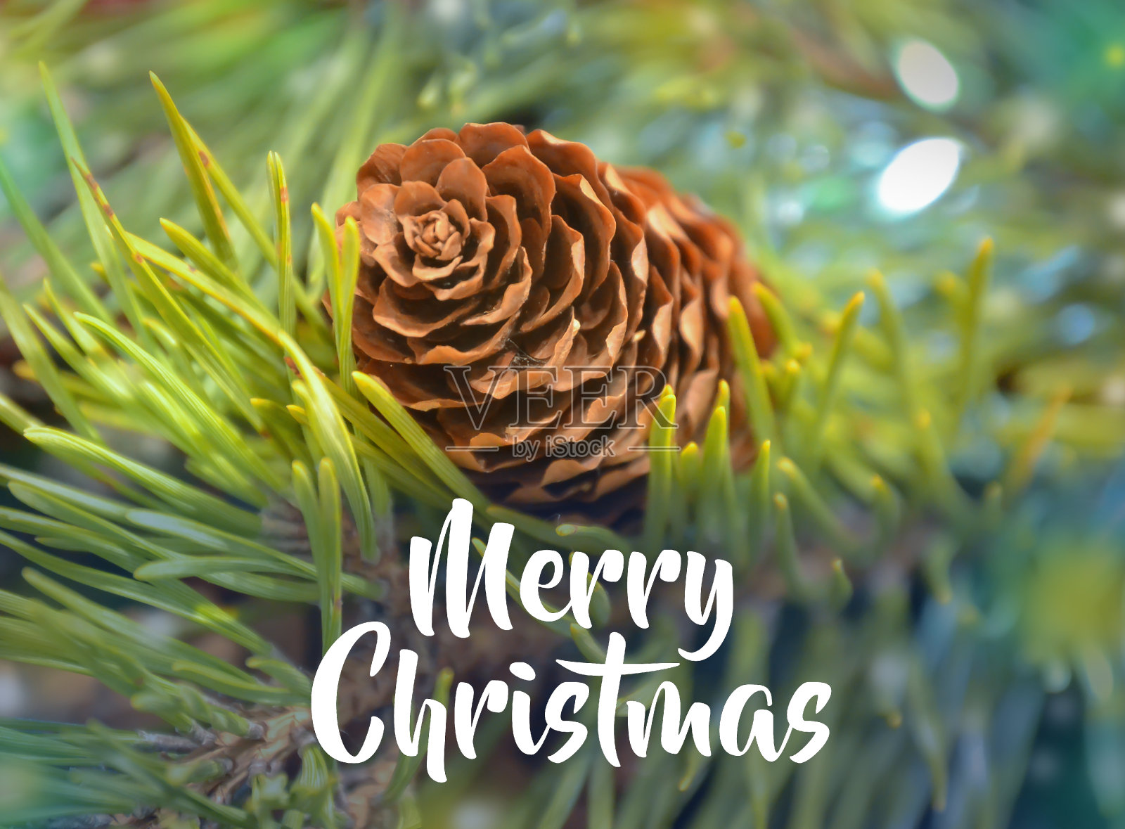 带有圣诞快乐字样的冷杉松果和针叶照片摄影图片