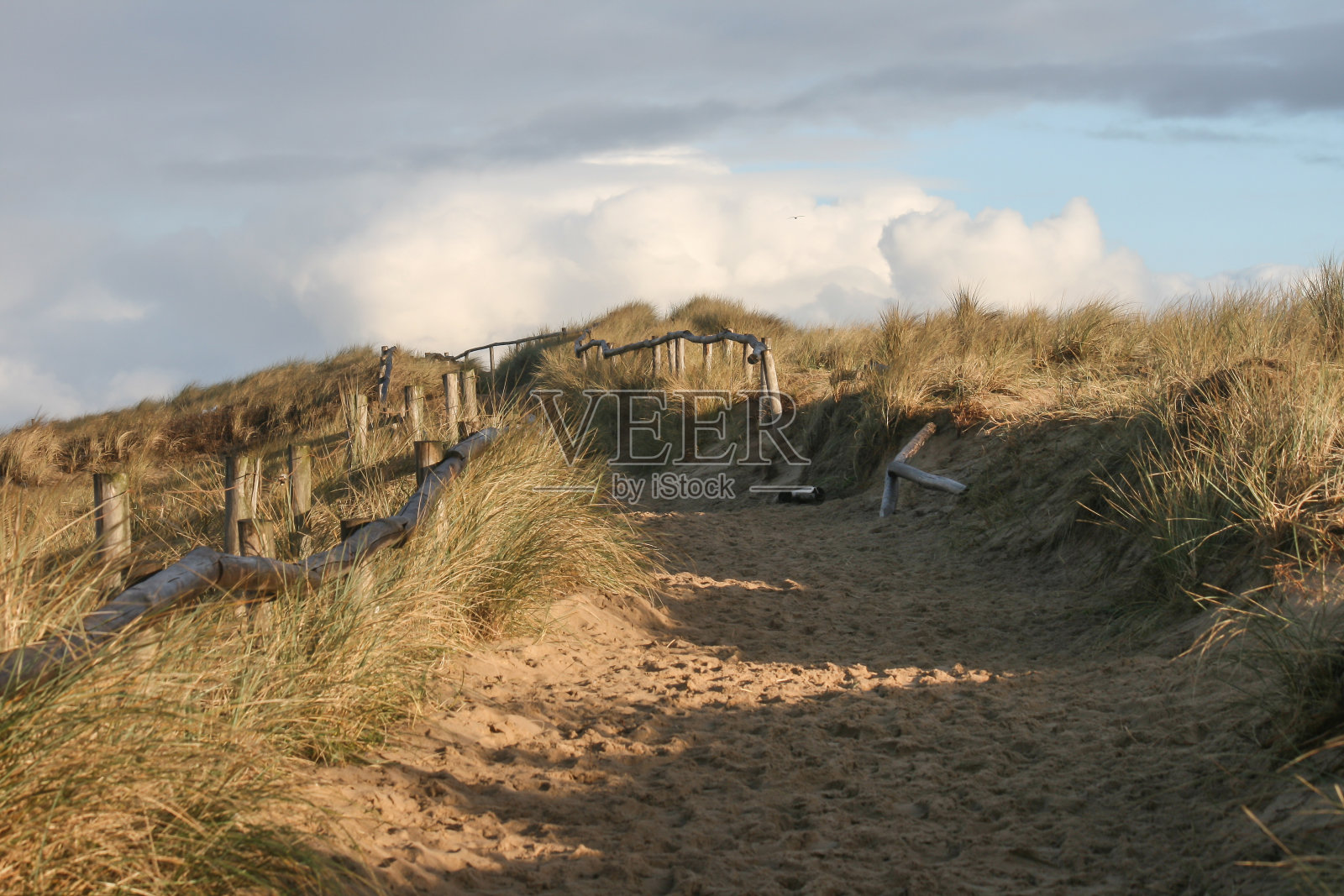 沙丘上的旧篱笆照片摄影图片