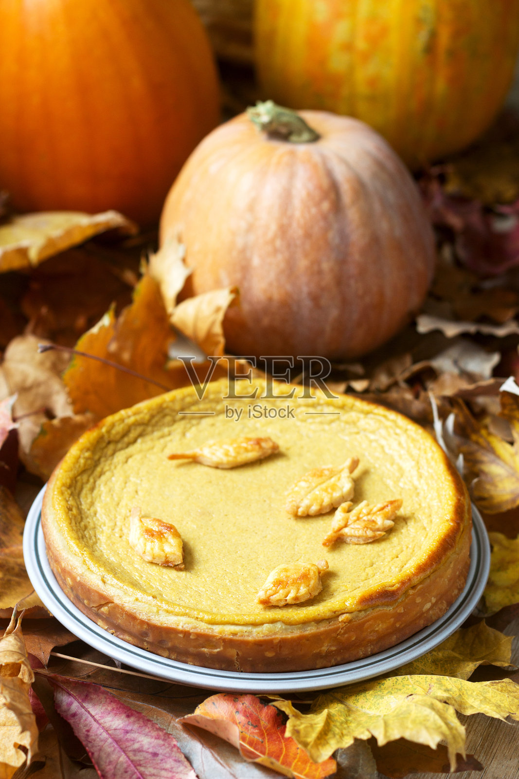 传统的美国南瓜自制蛋糕，以南瓜和秋叶为背景装饰饼干。照片摄影图片