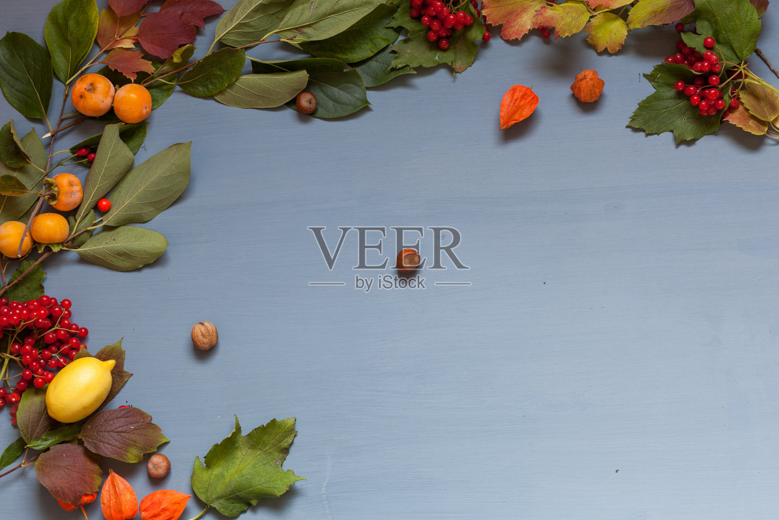 秋天黄色和红色的叶子和果实在灰色的背景照片摄影图片