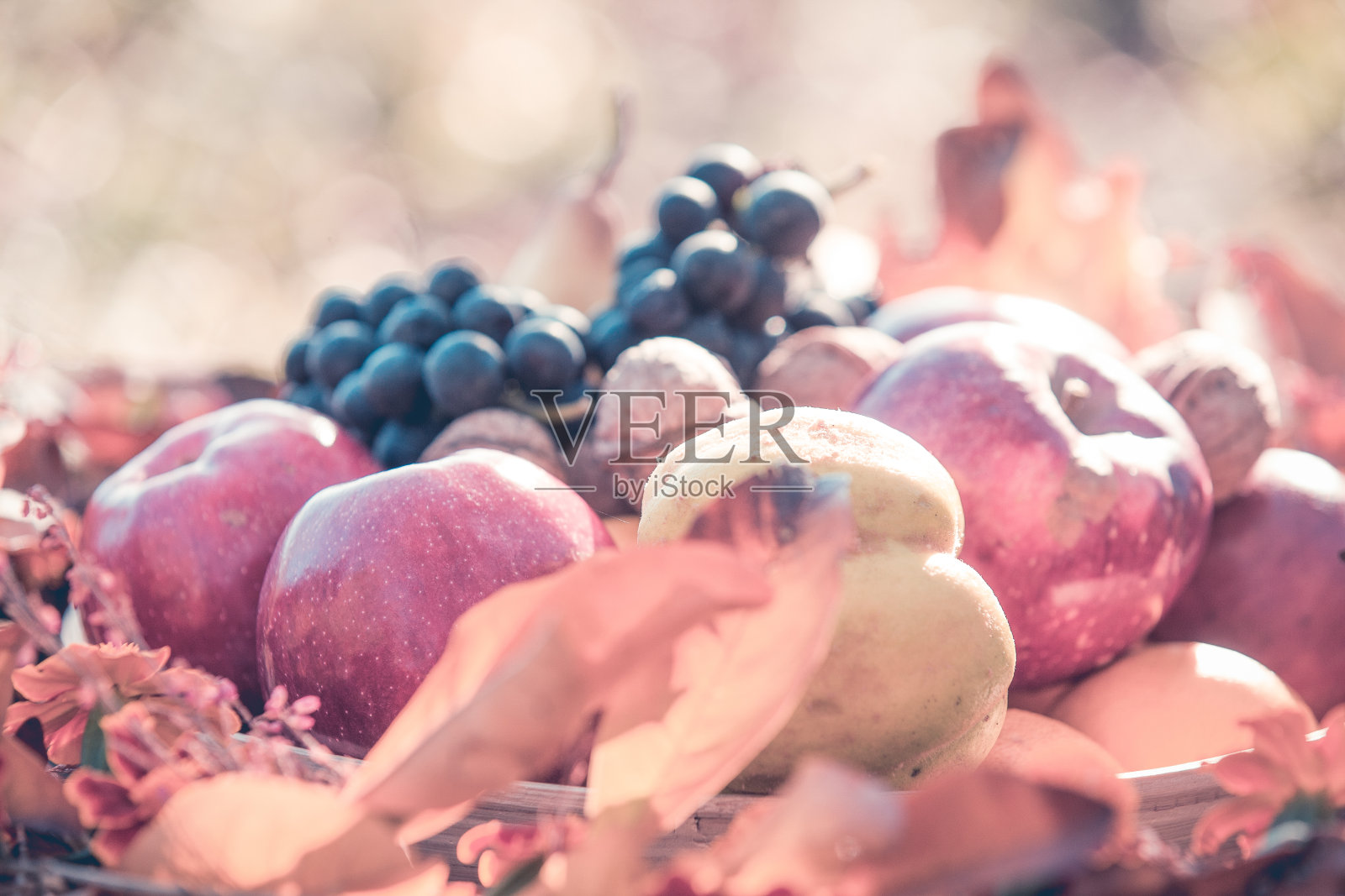 秋季有机水果背景照片摄影图片