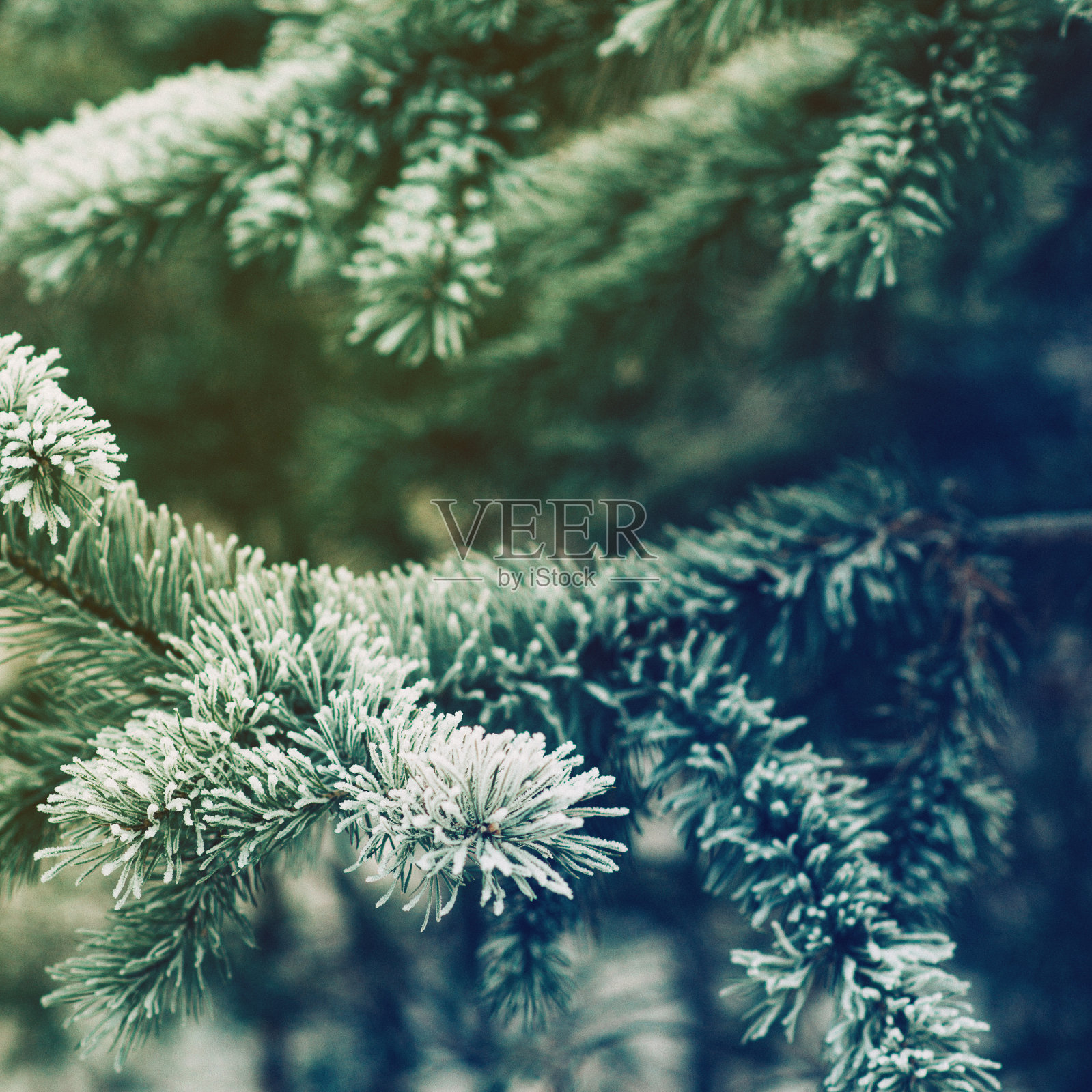 背景，方形空白:圣诞树装饰，礼物，玩具。照片摄影图片