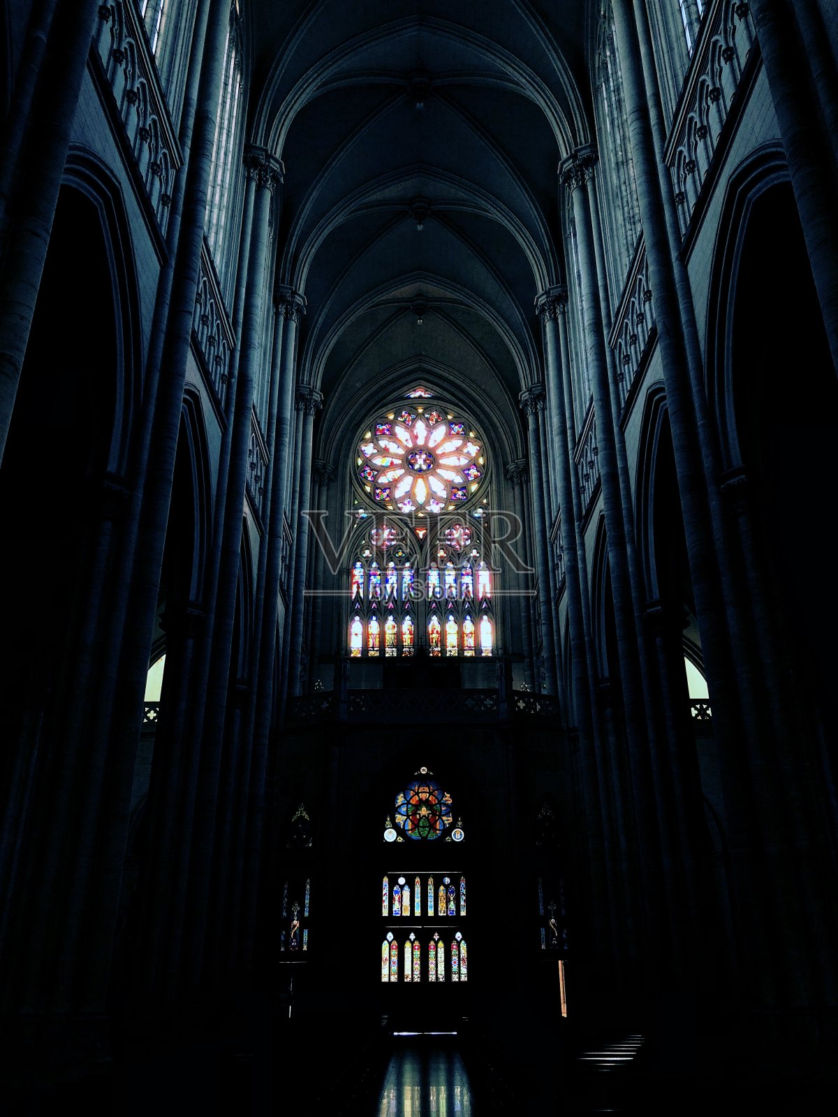 拉普拉塔大教堂内部照片摄影图片